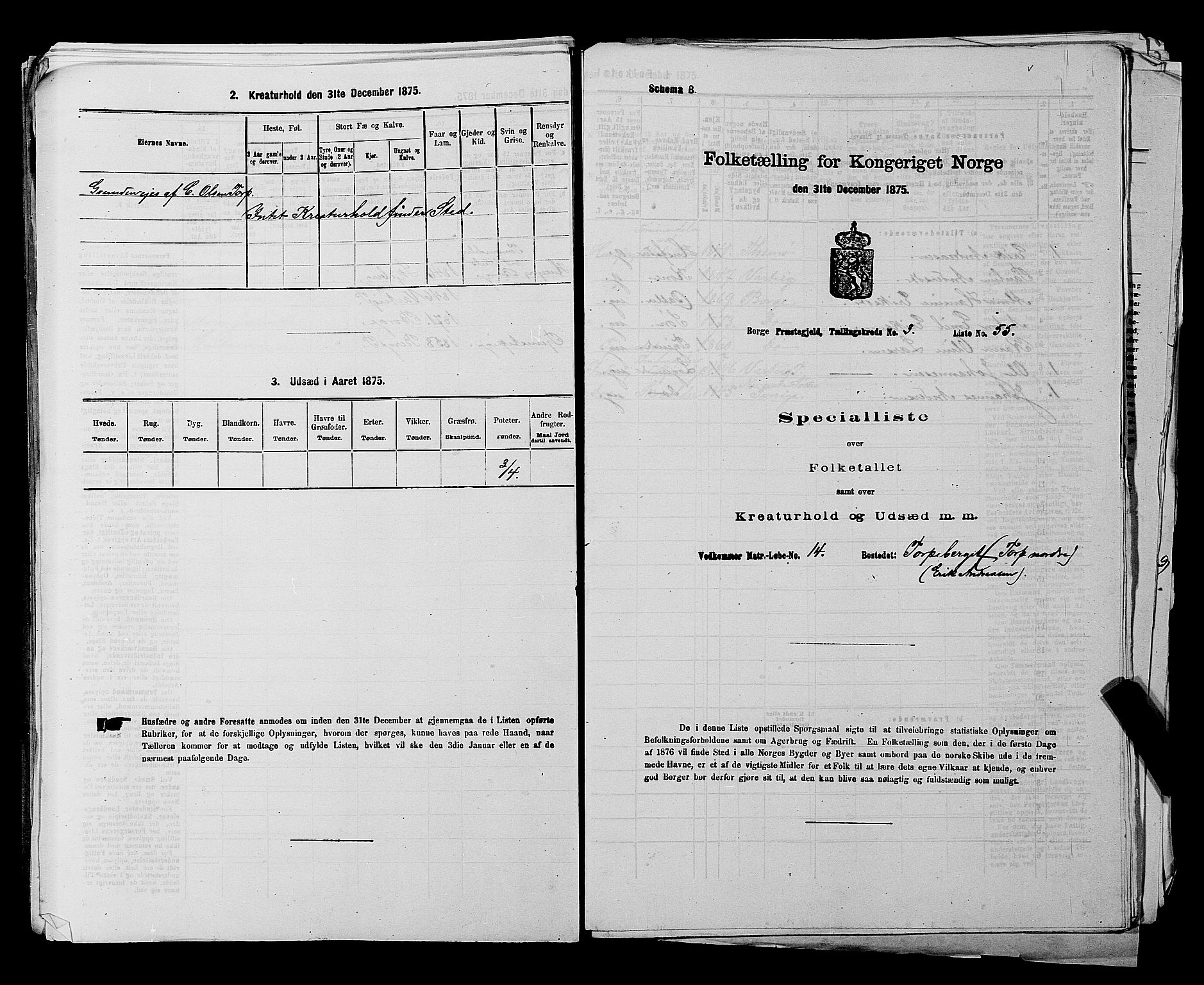 RA, 1875 census for 0113P Borge, 1875, p. 500