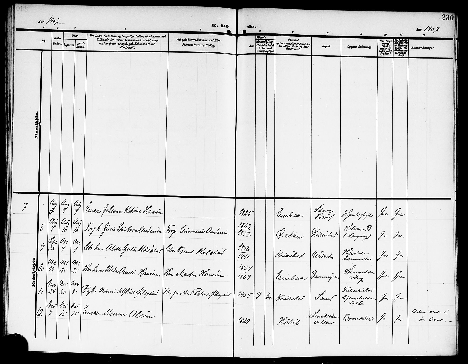 Kråkstad prestekontor Kirkebøker, AV/SAO-A-10125a/G/Gb/L0001: Parish register (copy) no. II 1, 1905-1920, p. 230