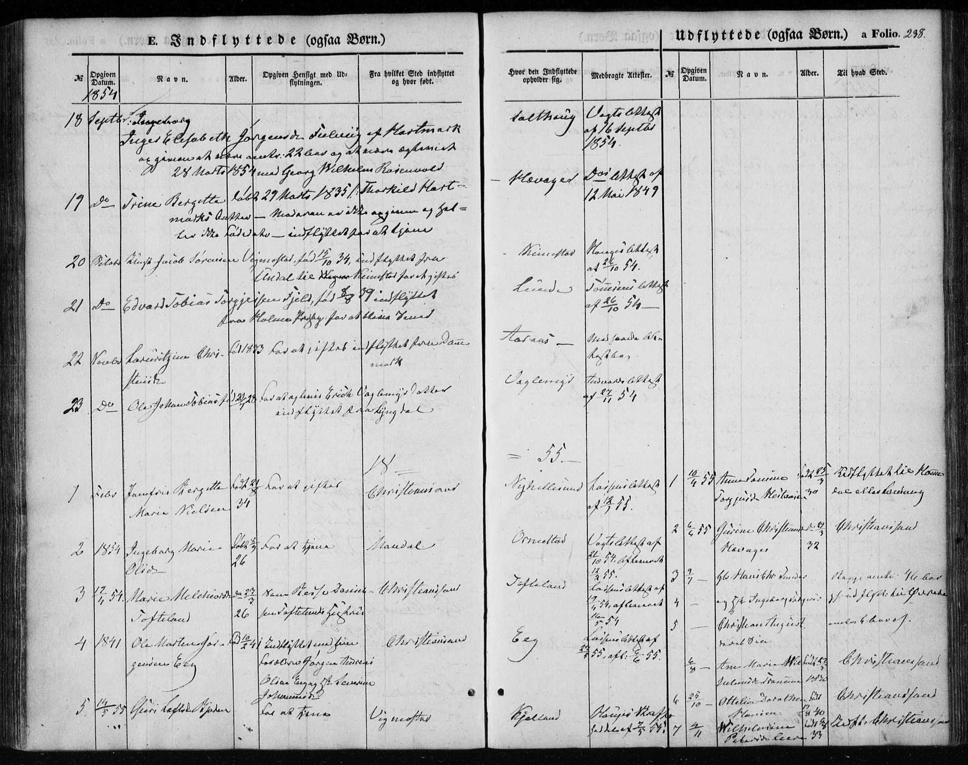 Søgne sokneprestkontor, SAK/1111-0037/F/Fa/Fab/L0010: Parish register (official) no. A 10, 1853-1869, p. 238