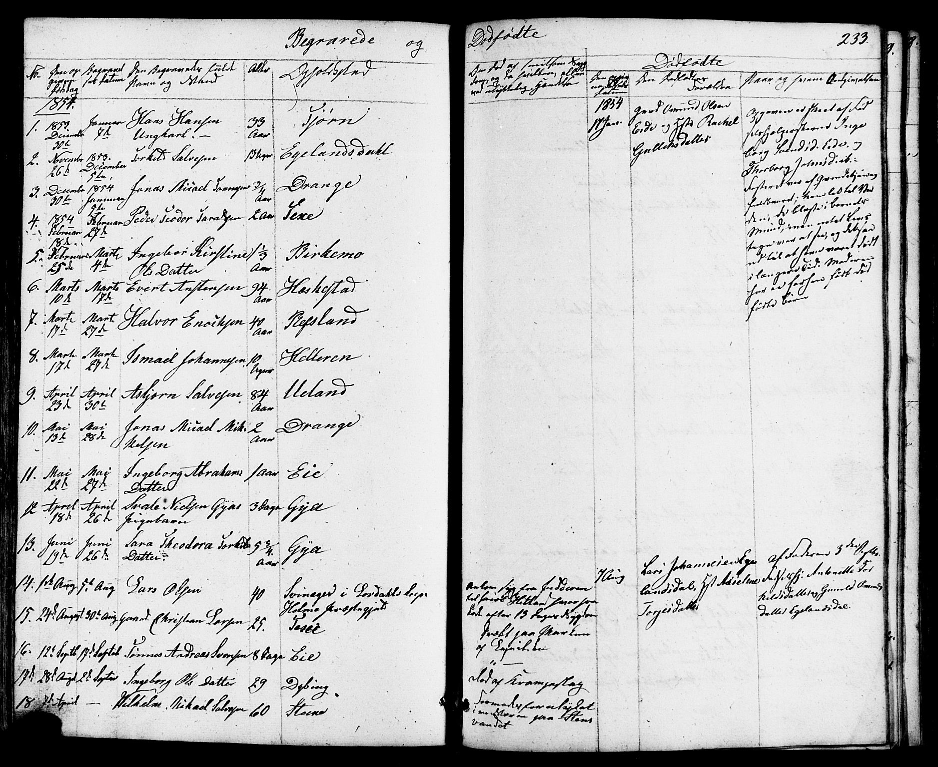 Lund sokneprestkontor, SAST/A-101809/S07/L0004: Parish register (copy) no. B 4, 1854-1874, p. 233