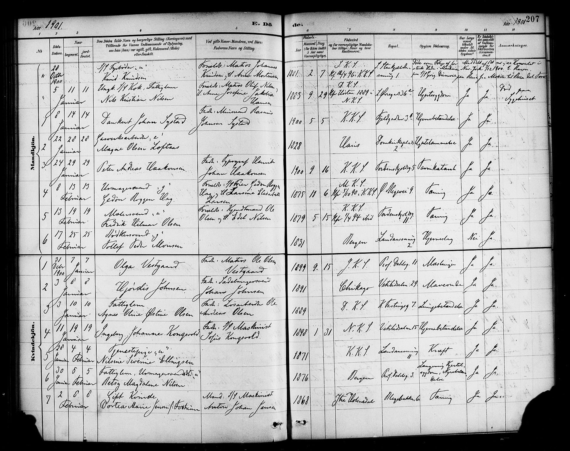 Korskirken sokneprestembete, SAB/A-76101/H/Haa/L0047: Parish register (official) no. E 5, 1884-1910, p. 207