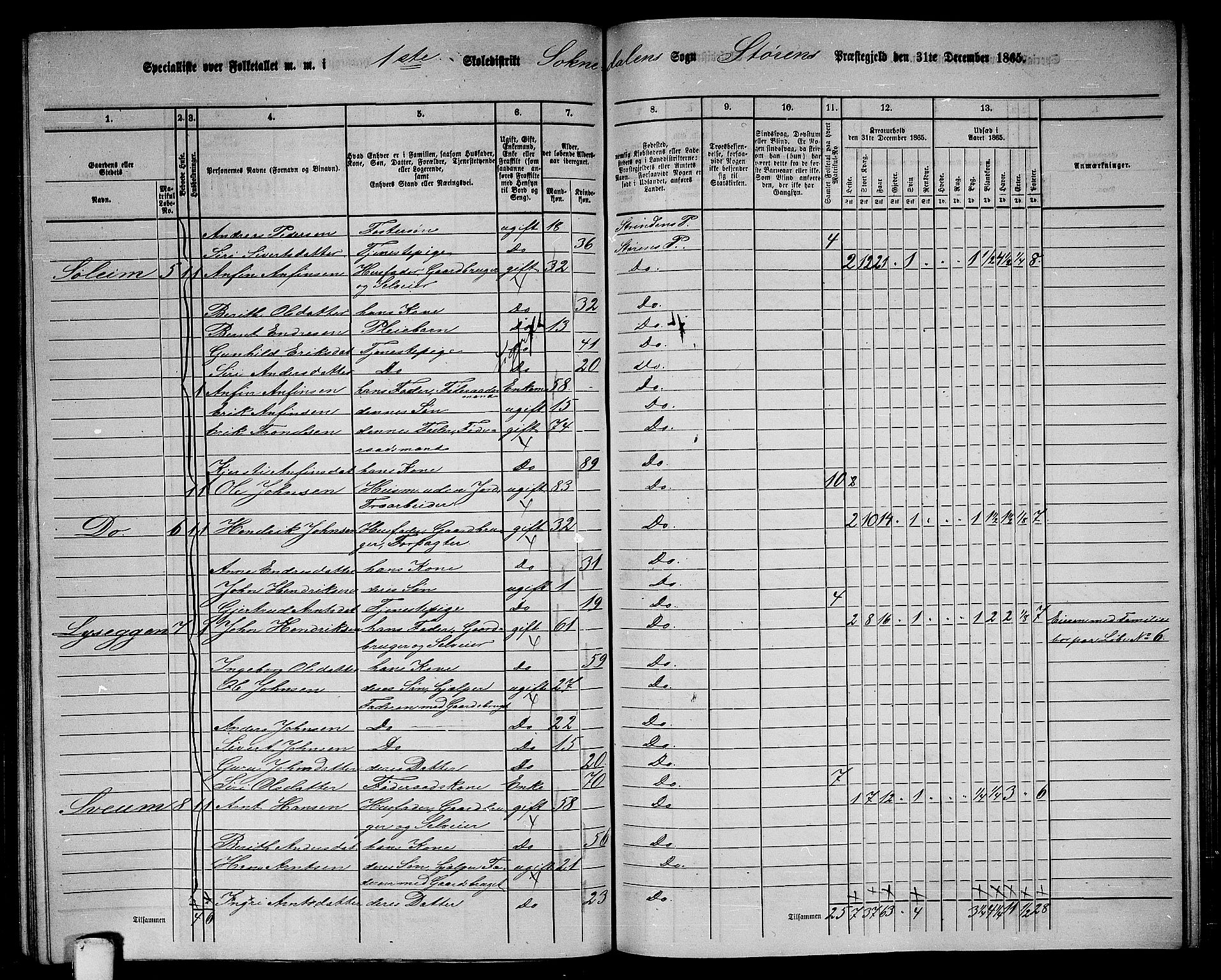 RA, 1865 census for Støren, 1865, p. 217