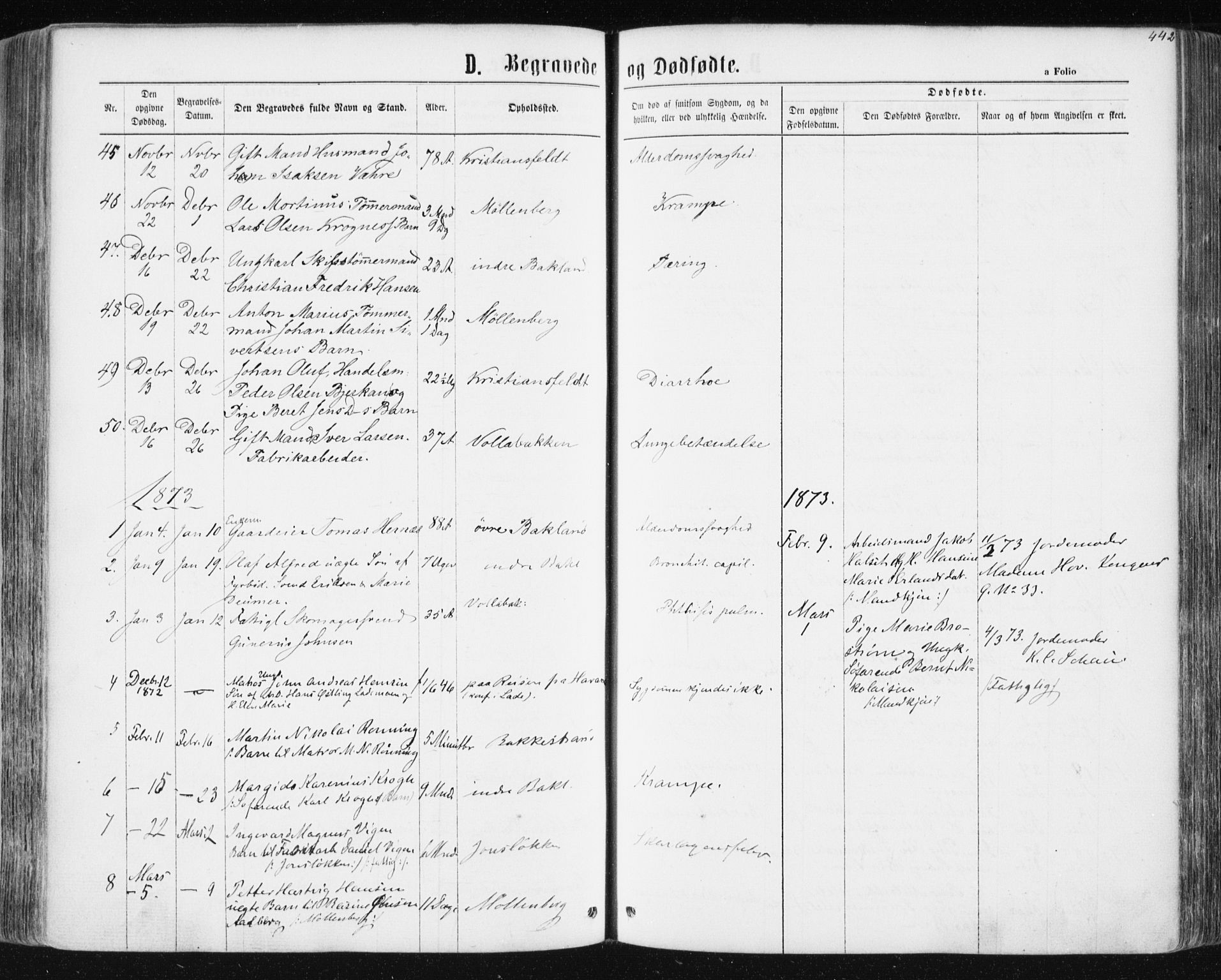 Ministerialprotokoller, klokkerbøker og fødselsregistre - Sør-Trøndelag, AV/SAT-A-1456/604/L0186: Parish register (official) no. 604A07, 1866-1877, p. 442