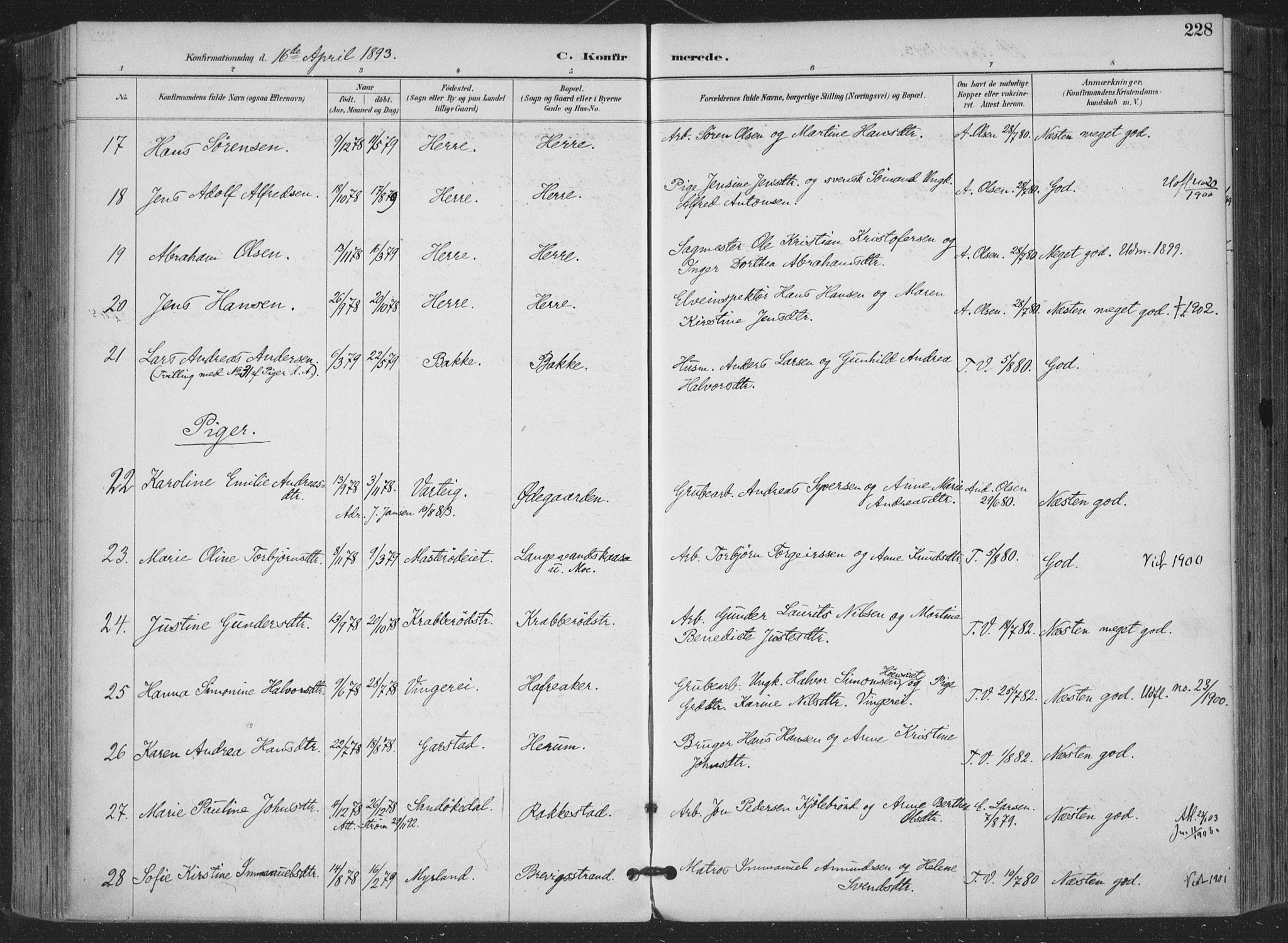 Bamble kirkebøker, AV/SAKO-A-253/F/Fa/L0008: Parish register (official) no. I 8, 1888-1900, p. 228