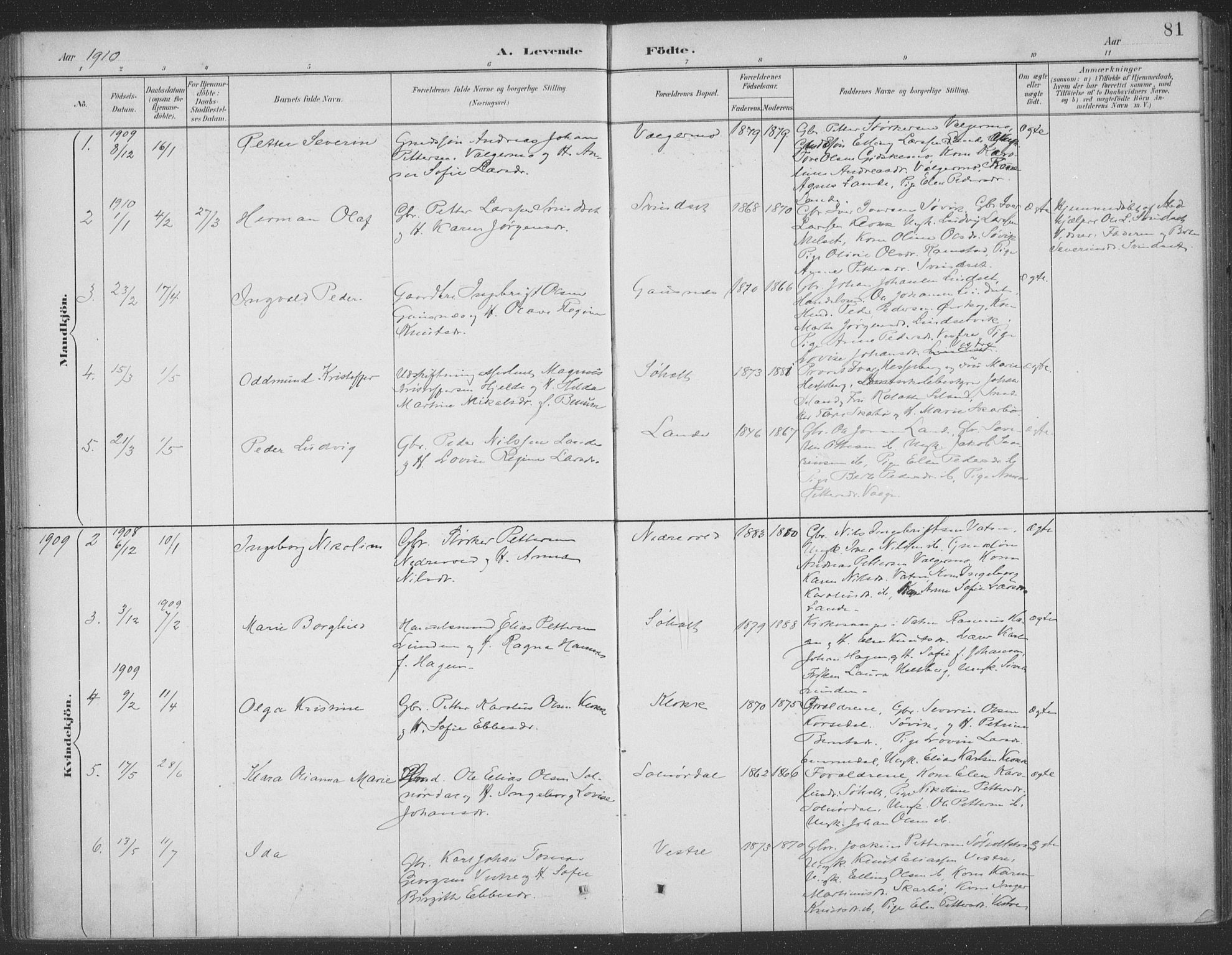Ministerialprotokoller, klokkerbøker og fødselsregistre - Møre og Romsdal, SAT/A-1454/522/L0316: Parish register (official) no. 522A11, 1890-1911, p. 81