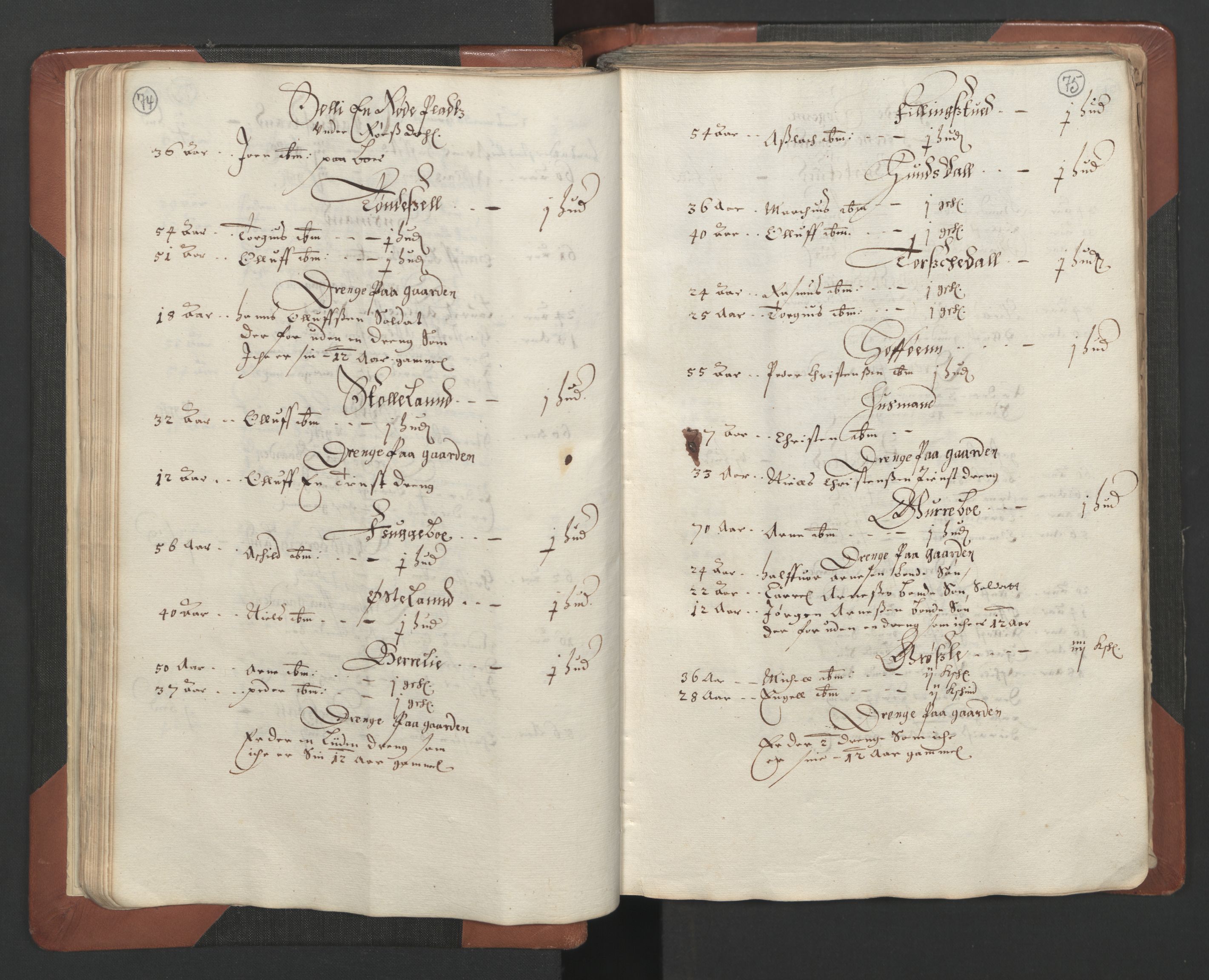 RA, Bailiff's Census 1664-1666, no. 7: Nedenes fogderi, 1664-1666, p. 74-75