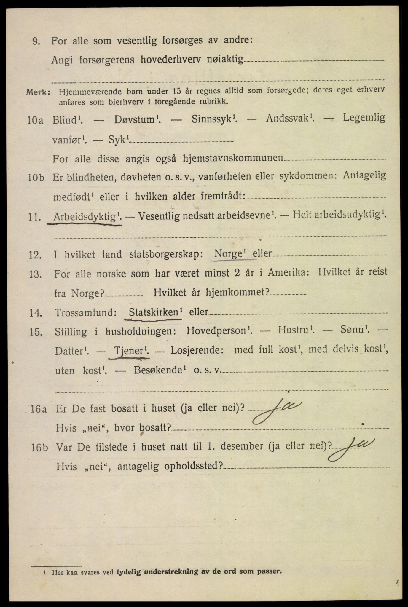 SAH, 1920 census for Biri, 1920, p. 4210