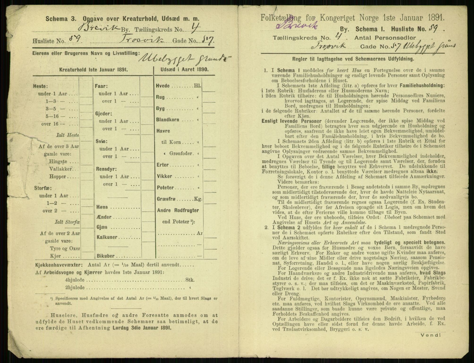 RA, 1891 census for 0804 Brevik, 1891, p. 801