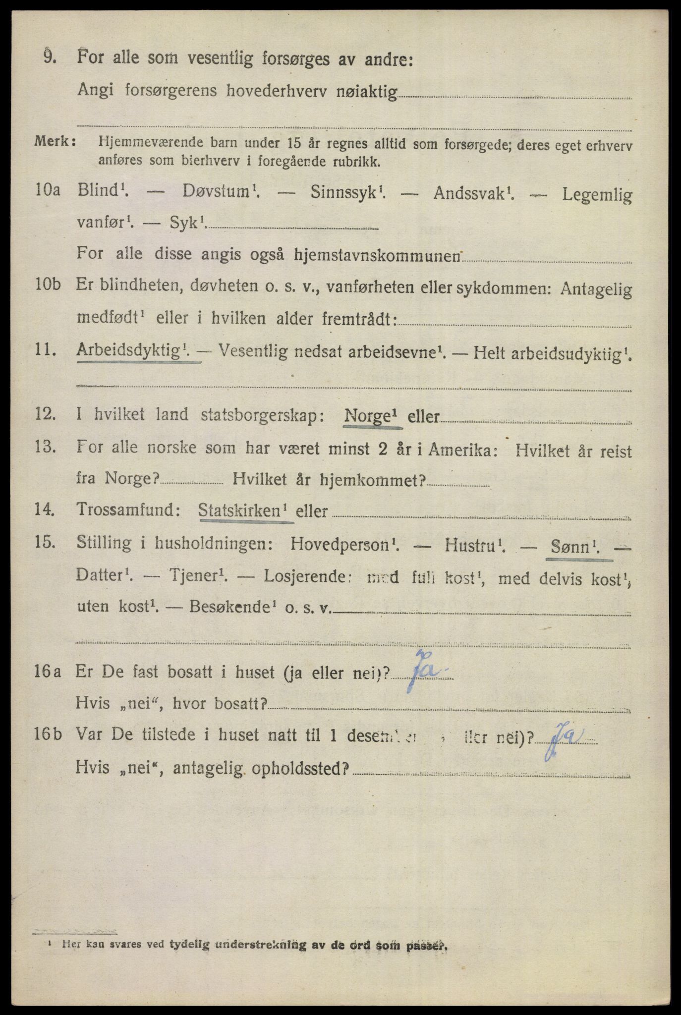 SAKO, 1920 census for Gol, 1920, p. 1213