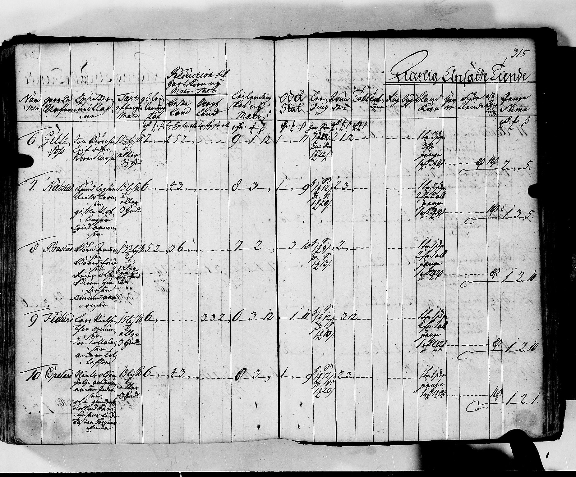 Rentekammeret inntil 1814, Realistisk ordnet avdeling, AV/RA-EA-4070/N/Nb/Nbf/L0130: Lista matrikkelprotokoll, 1723, p. 315