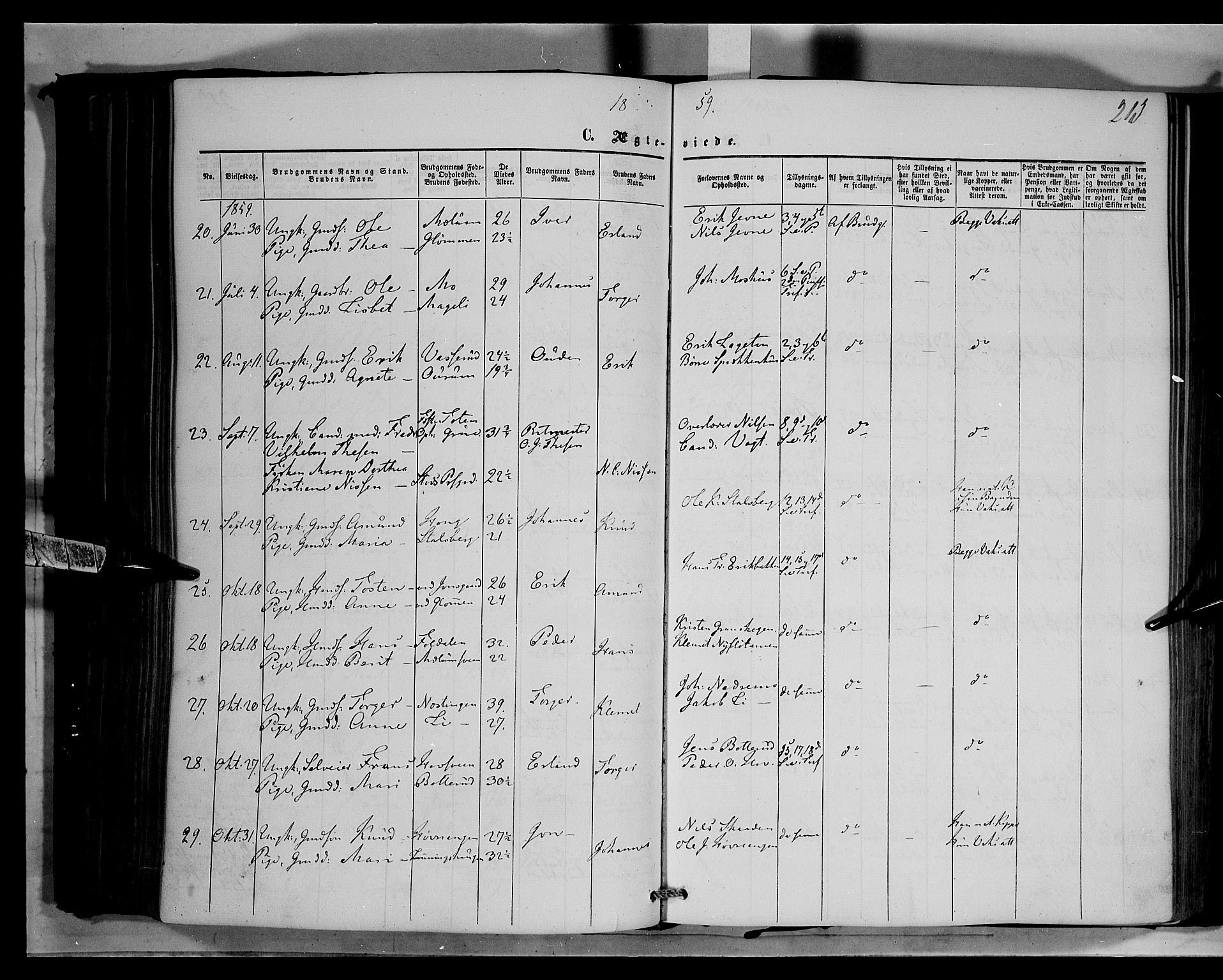 Øyer prestekontor, AV/SAH-PREST-084/H/Ha/Haa/L0006: Parish register (official) no. 6, 1858-1874, p. 213