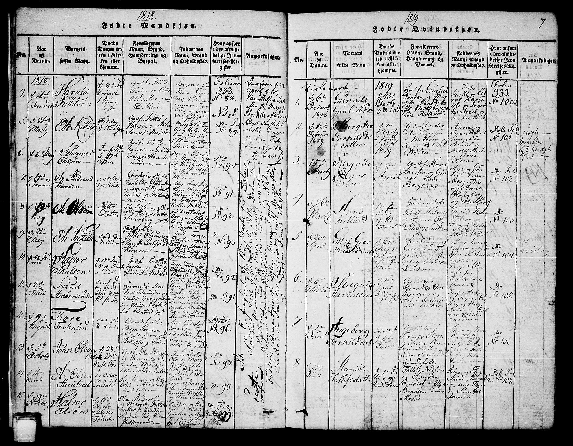 Hjartdal kirkebøker, SAKO/A-270/G/Ga/L0001: Parish register (copy) no. I 1, 1815-1842, p. 7