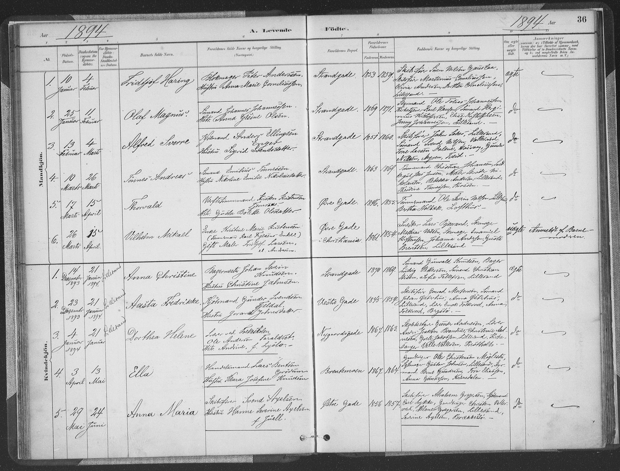 Vestre Moland sokneprestkontor, AV/SAK-1111-0046/F/Fa/Faa/L0001: Parish register (official) no. A 1, 1884-1899, p. 37