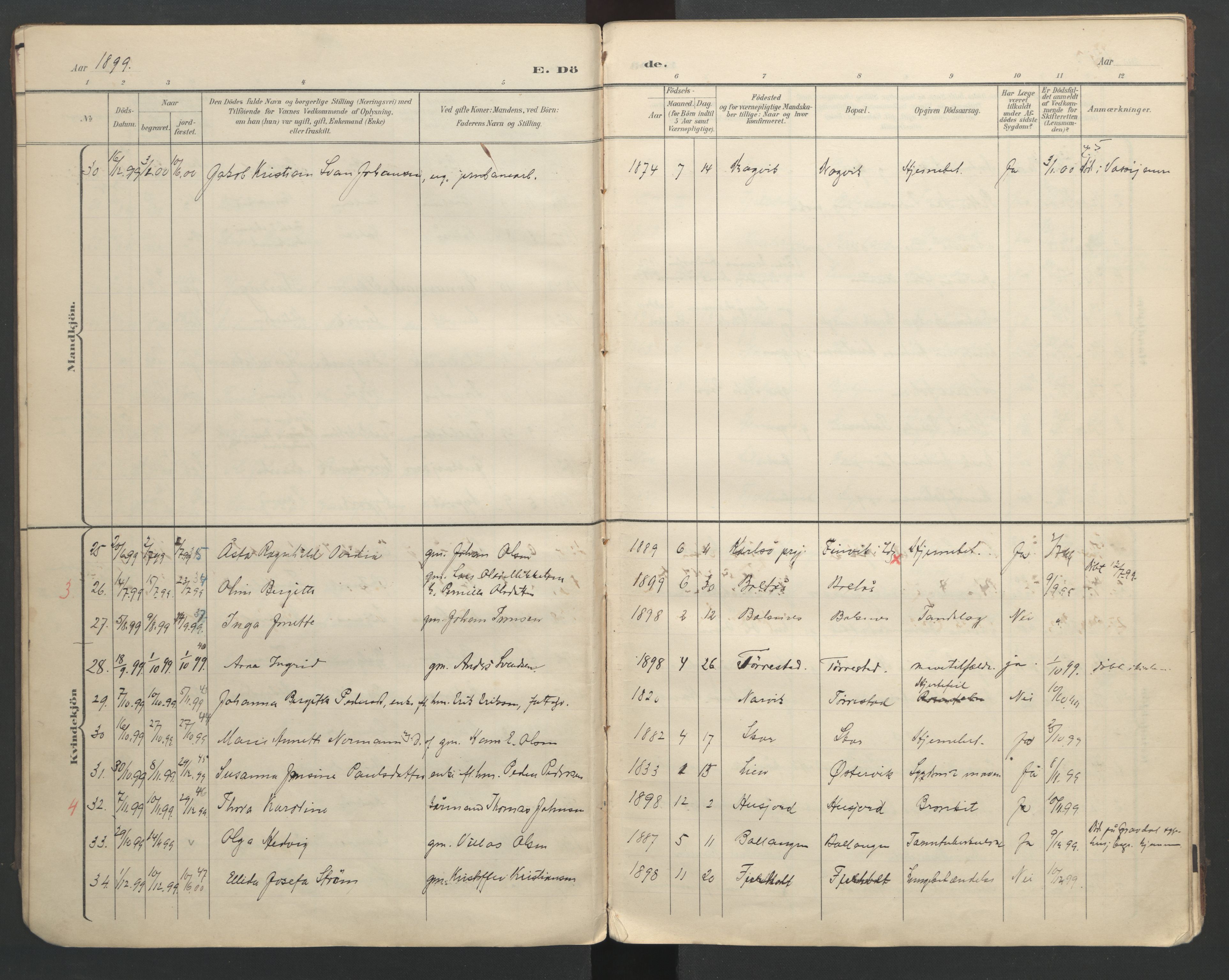 Ministerialprotokoller, klokkerbøker og fødselsregistre - Nordland, AV/SAT-A-1459/863/L0917: Parish register (copy) no. 863C07, 1898-1907