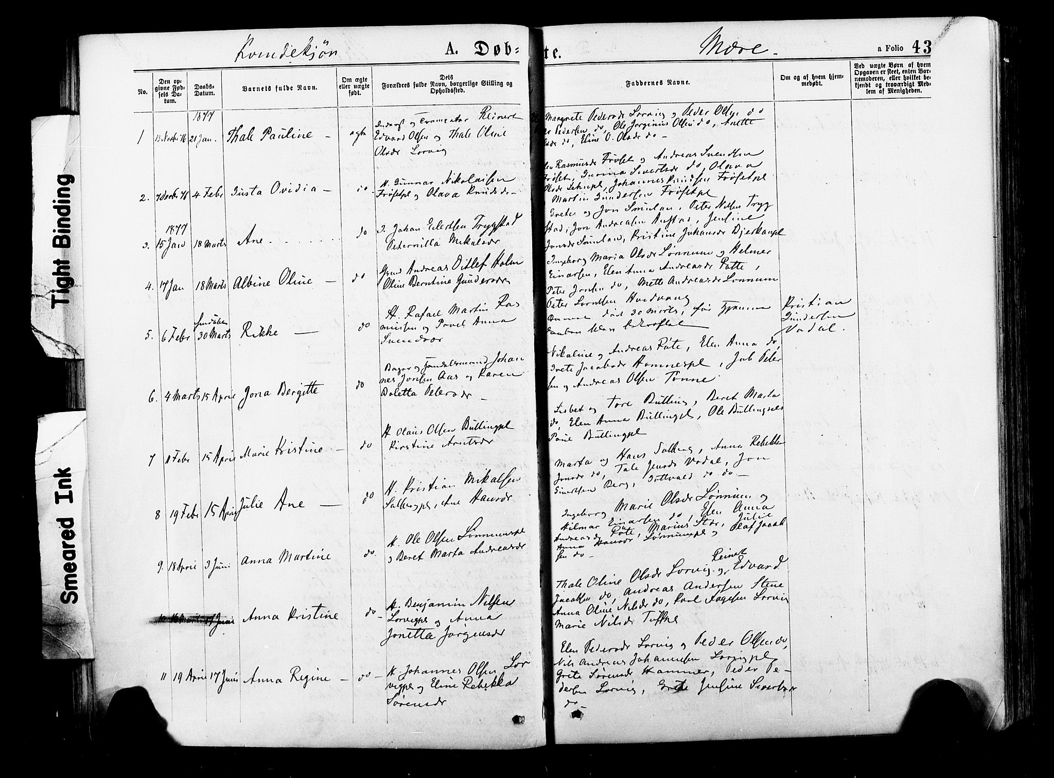 Ministerialprotokoller, klokkerbøker og fødselsregistre - Nord-Trøndelag, SAT/A-1458/735/L0348: Parish register (official) no. 735A09 /1, 1873-1883, p. 43