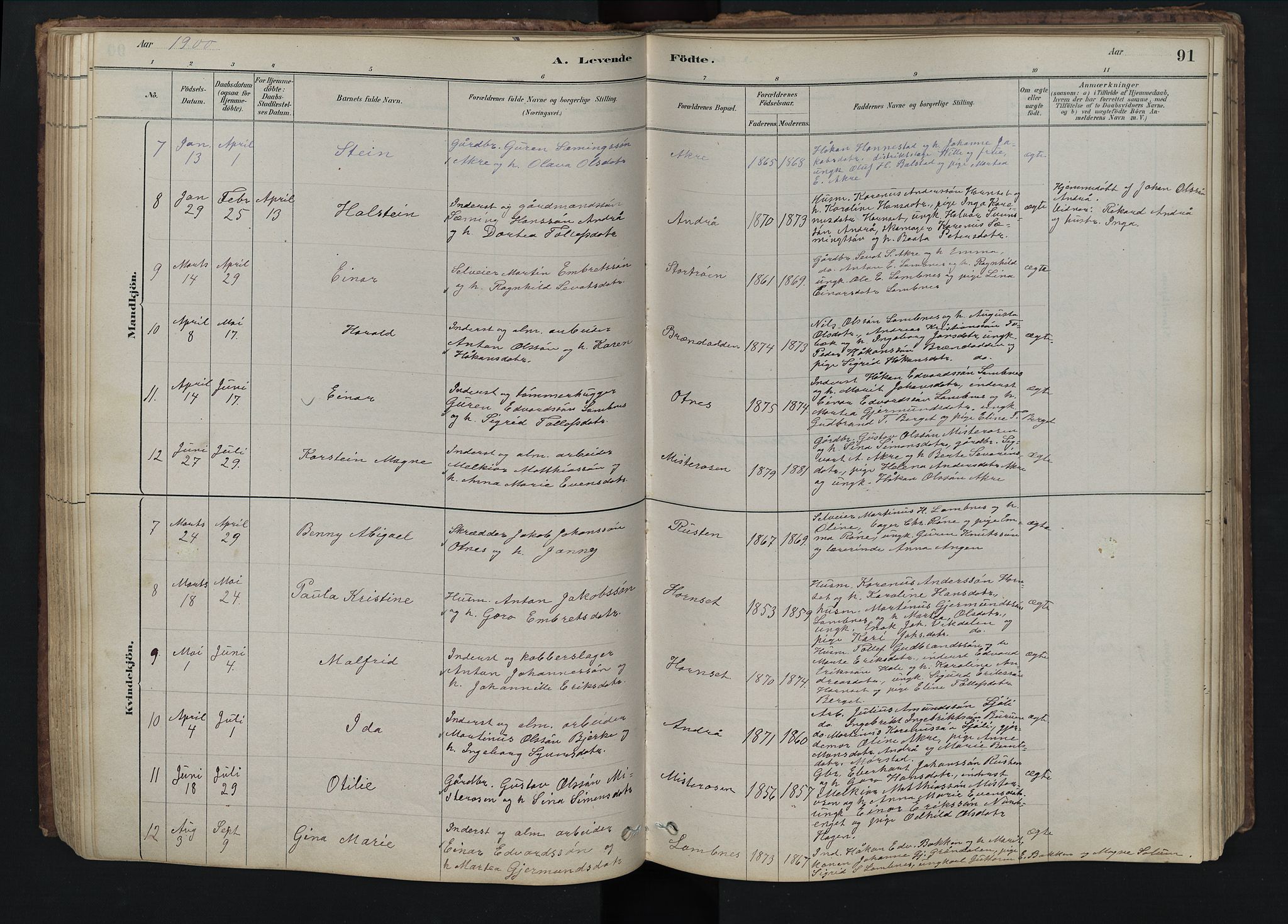 Rendalen prestekontor, SAH/PREST-054/H/Ha/Hab/L0009: Parish register (copy) no. 9, 1879-1902, p. 91
