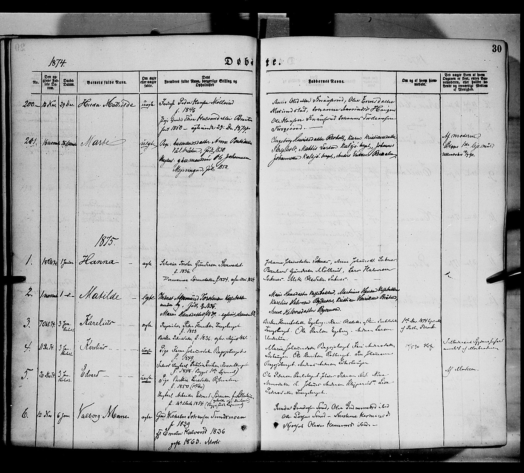 Grue prestekontor, AV/SAH-PREST-036/H/Ha/Haa/L0011: Parish register (official) no. 11, 1873-1880, p. 30