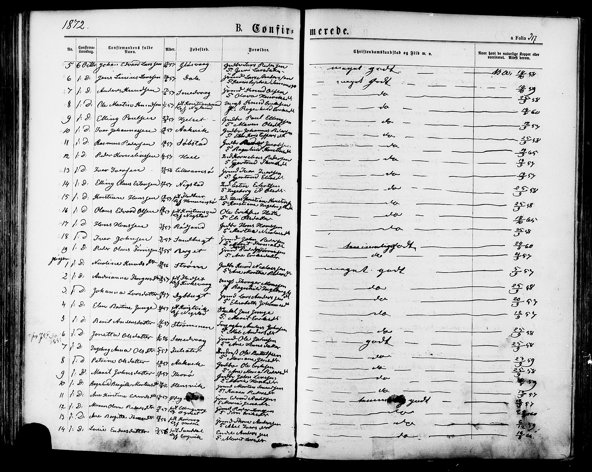Ministerialprotokoller, klokkerbøker og fødselsregistre - Møre og Romsdal, SAT/A-1454/568/L0805: Parish register (official) no. 568A12 /1, 1869-1884, p. 217