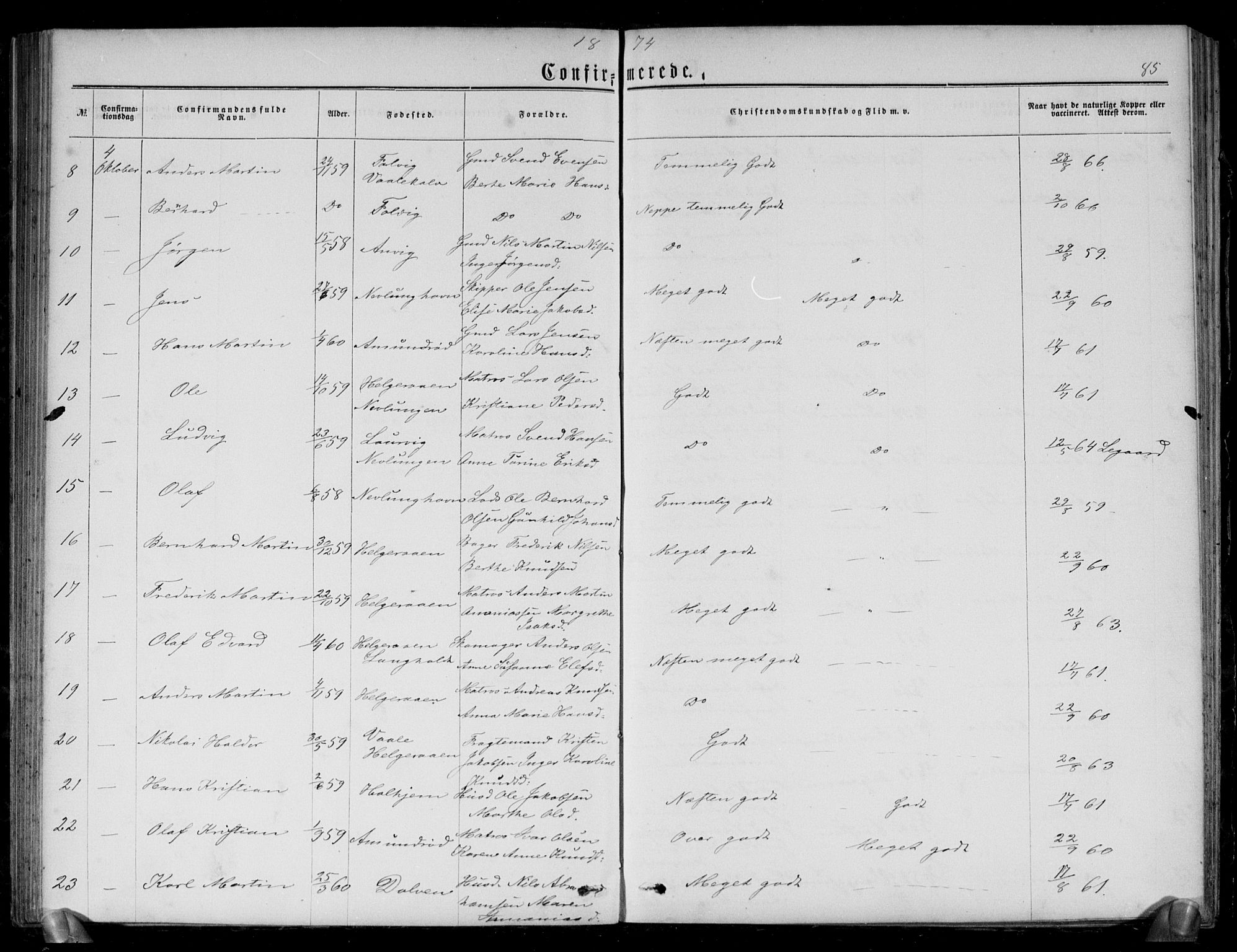Brunlanes kirkebøker, AV/SAKO-A-342/G/Gb/L0001: Parish register (copy) no. II 1, 1866-1877, p. 85