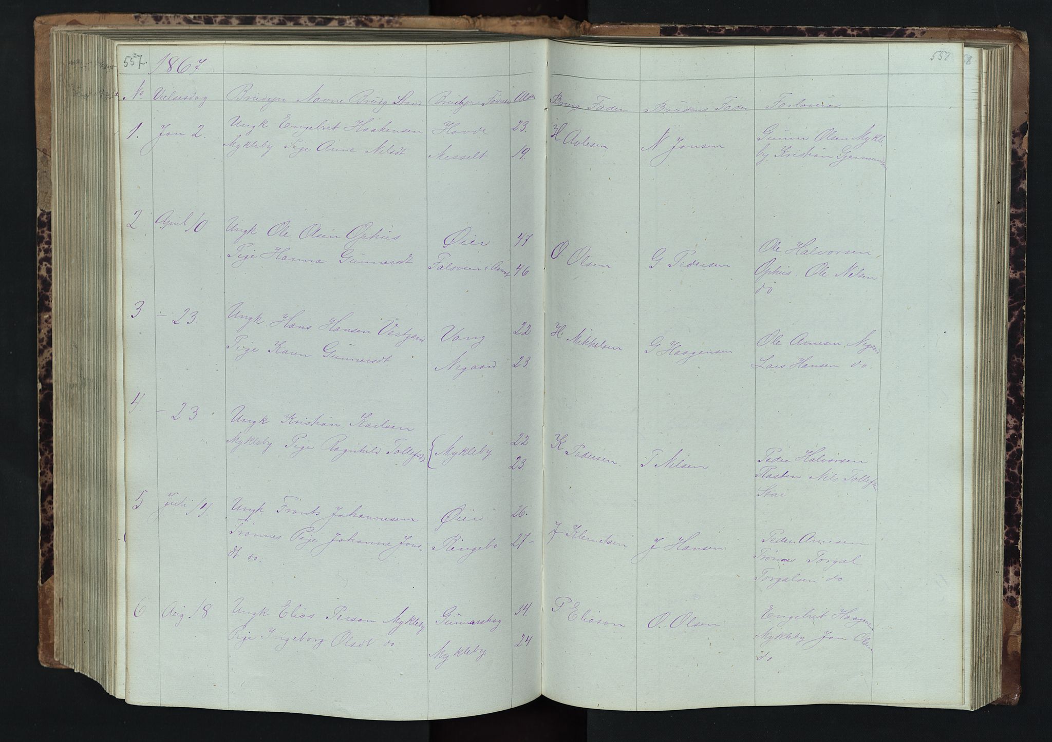 Stor-Elvdal prestekontor, SAH/PREST-052/H/Ha/Hab/L0001: Parish register (copy) no. 1 /1, 1860-1894, p. 557-558