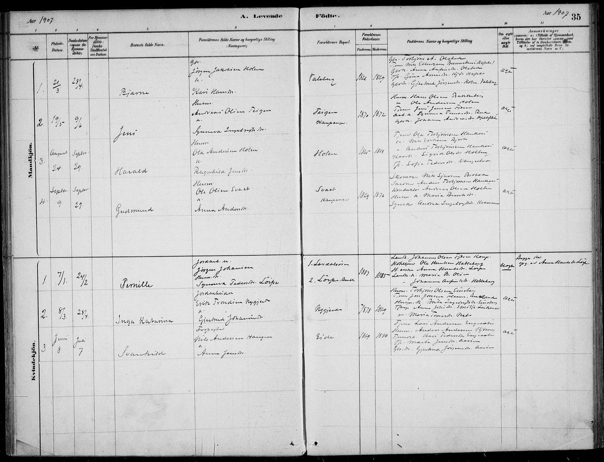 Sogndal sokneprestembete, AV/SAB-A-81301/H/Haa/Haad/L0001: Parish register (official) no. D  1, 1878-1907, p. 35