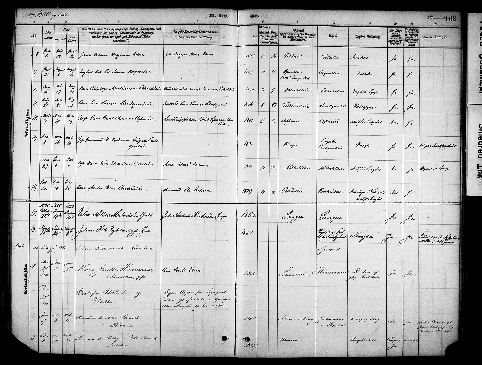 Stange prestekontor, SAH/PREST-002/K/L0019: Parish register (official) no. 19, 1880-1891, p. 163