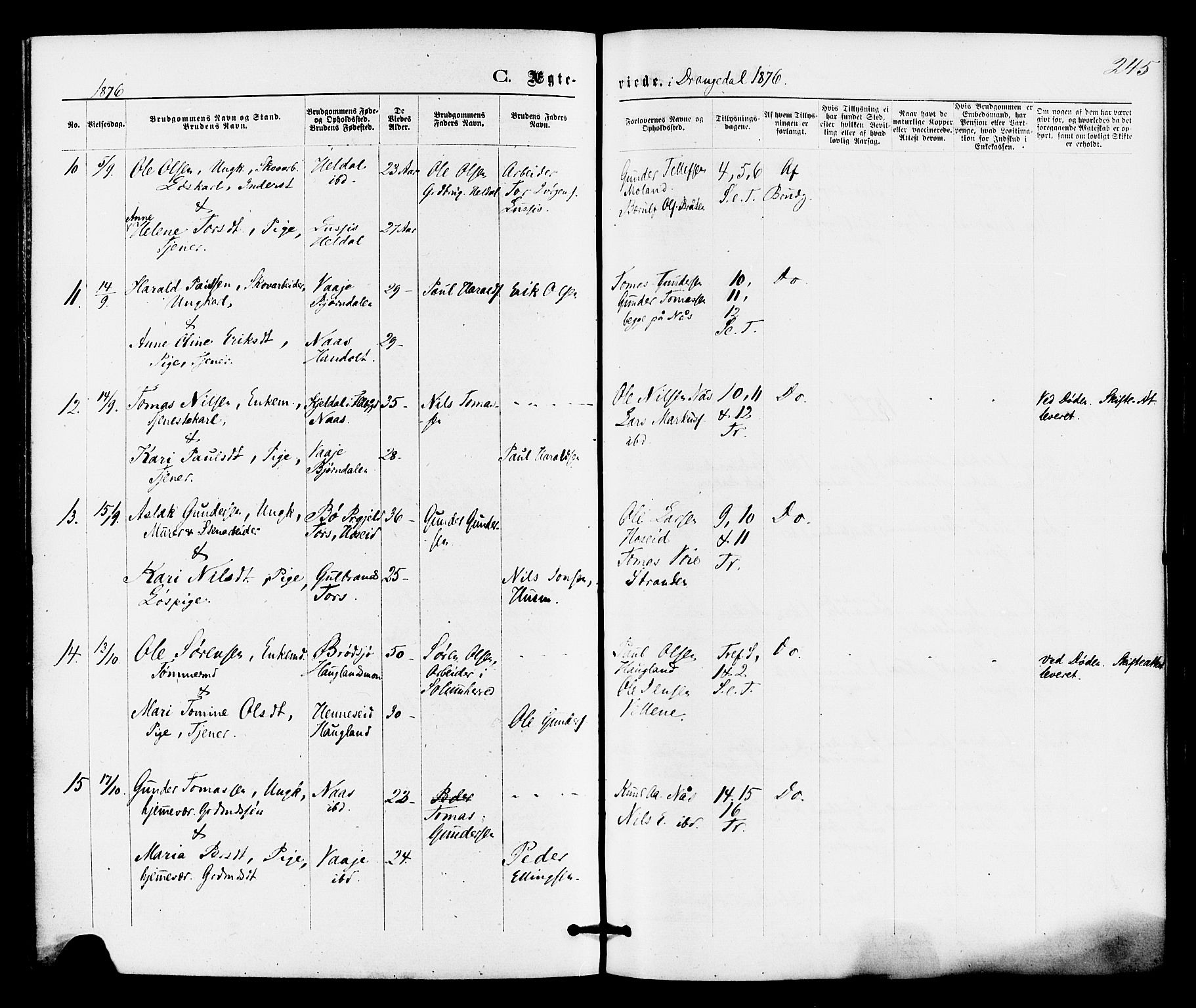 Drangedal kirkebøker, SAKO/A-258/F/Fa/L0009: Parish register (official) no. 9 /1, 1872-1884, p. 245