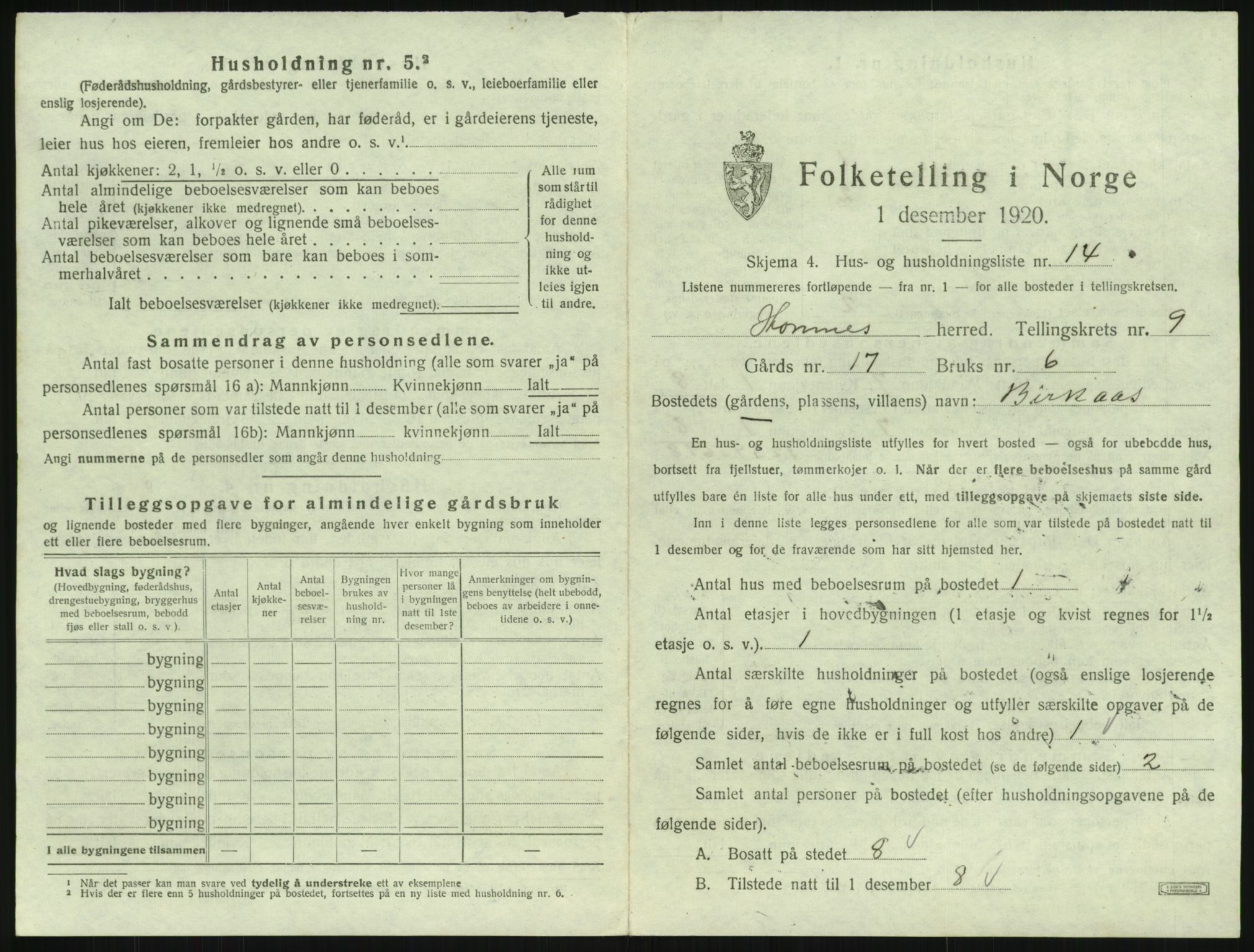 SAK, 1920 census for Hornnes, 1920, p. 377