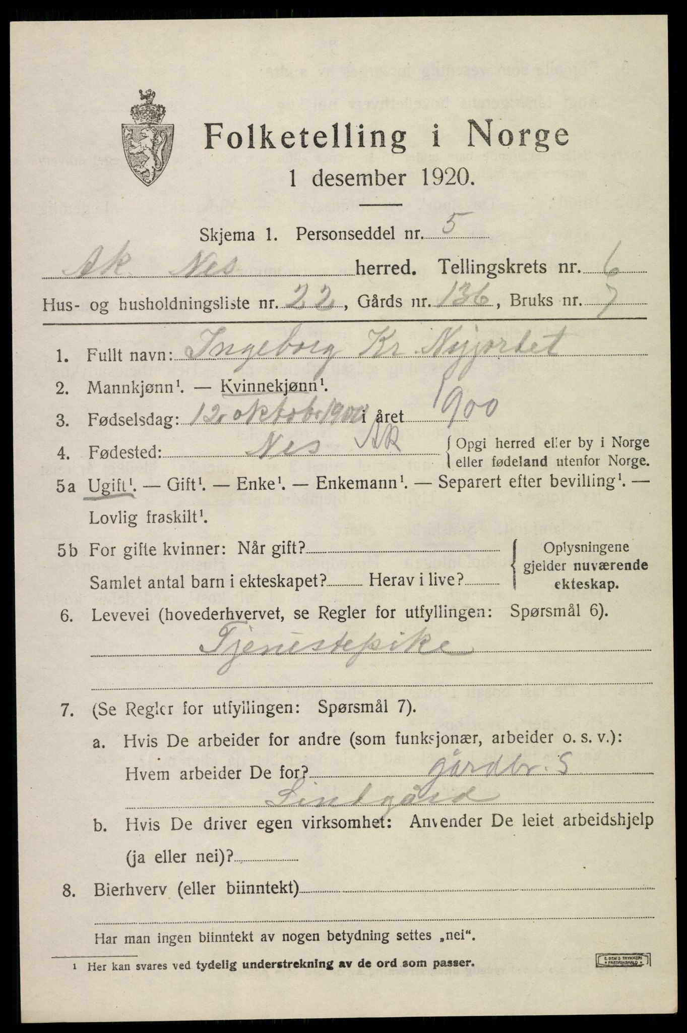 SAO, 1920 census for Nes, 1920, p. 7850