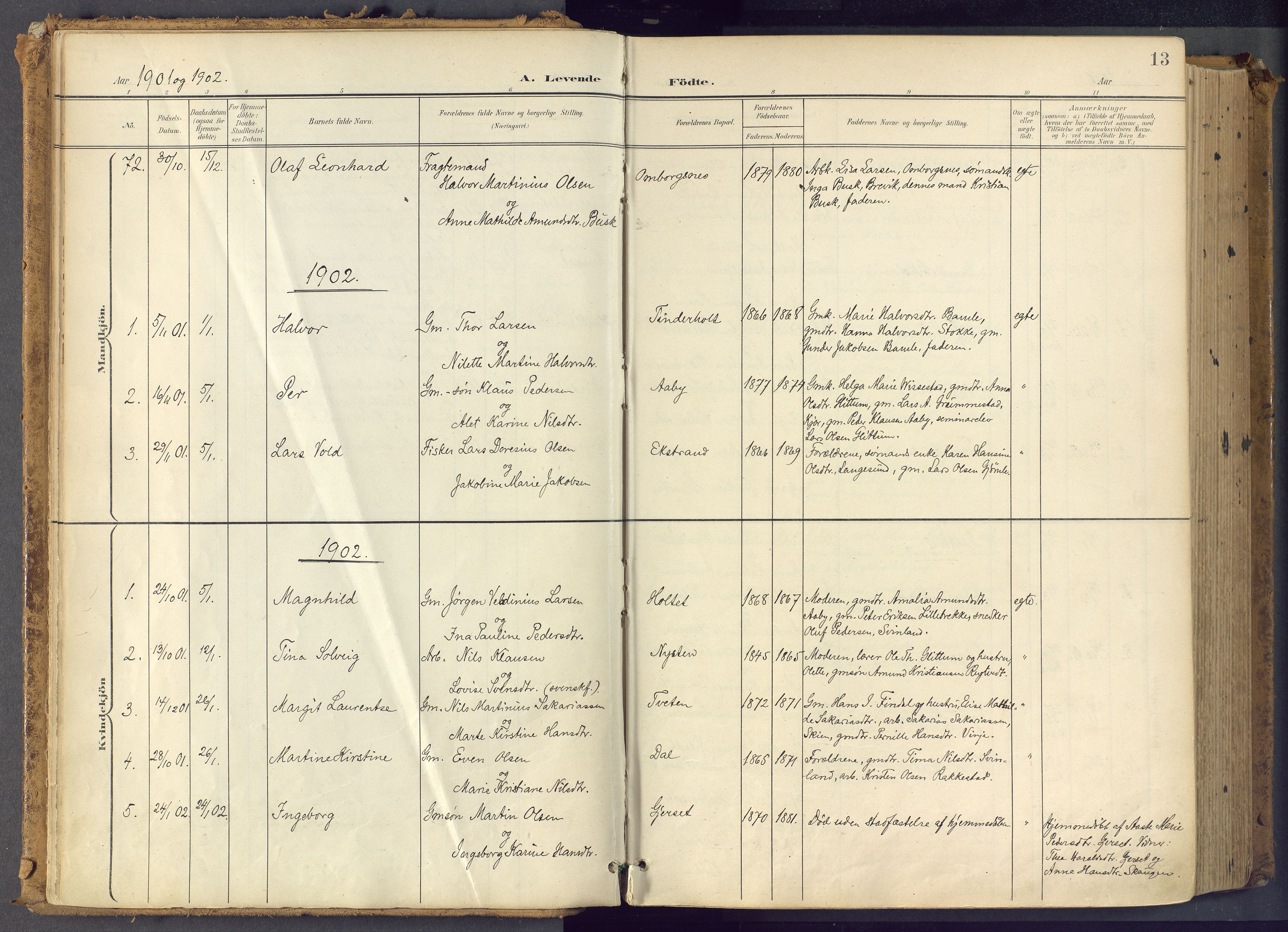 Bamble kirkebøker, SAKO/A-253/F/Fa/L0009: Parish register (official) no. I 9, 1901-1917, p. 13