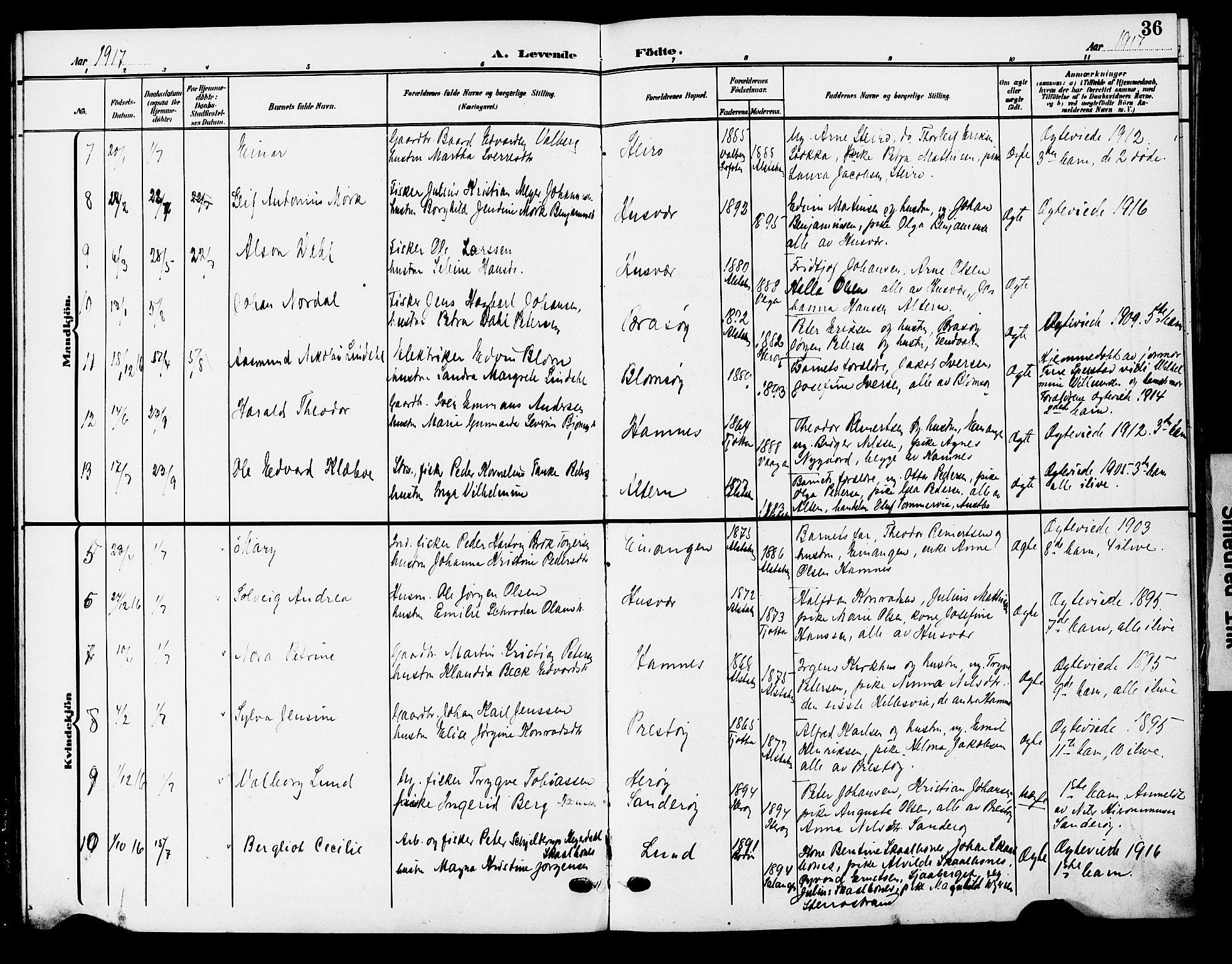 Ministerialprotokoller, klokkerbøker og fødselsregistre - Nordland, AV/SAT-A-1459/830/L0464: Parish register (copy) no. 830C06, 1906-1925, p. 36