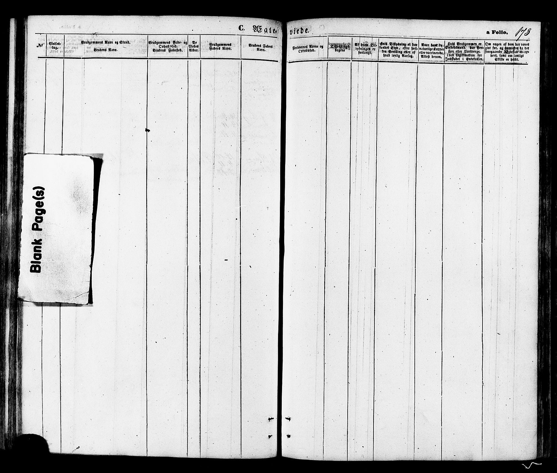 Talvik sokneprestkontor, AV/SATØ-S-1337/H/Ha/L0011kirke: Parish register (official) no. 11, 1864-1877, p. 173