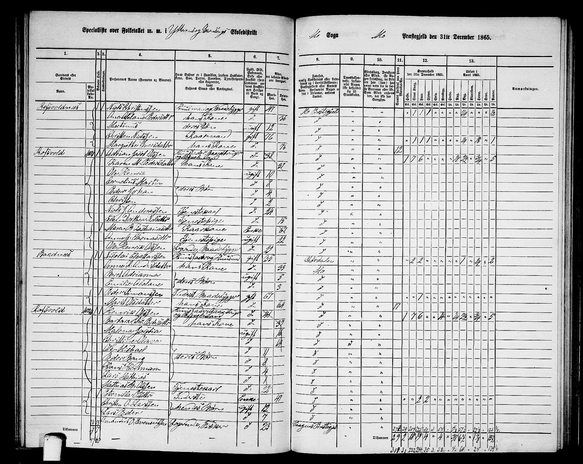 RA, 1865 census for Mo, 1865, p. 110