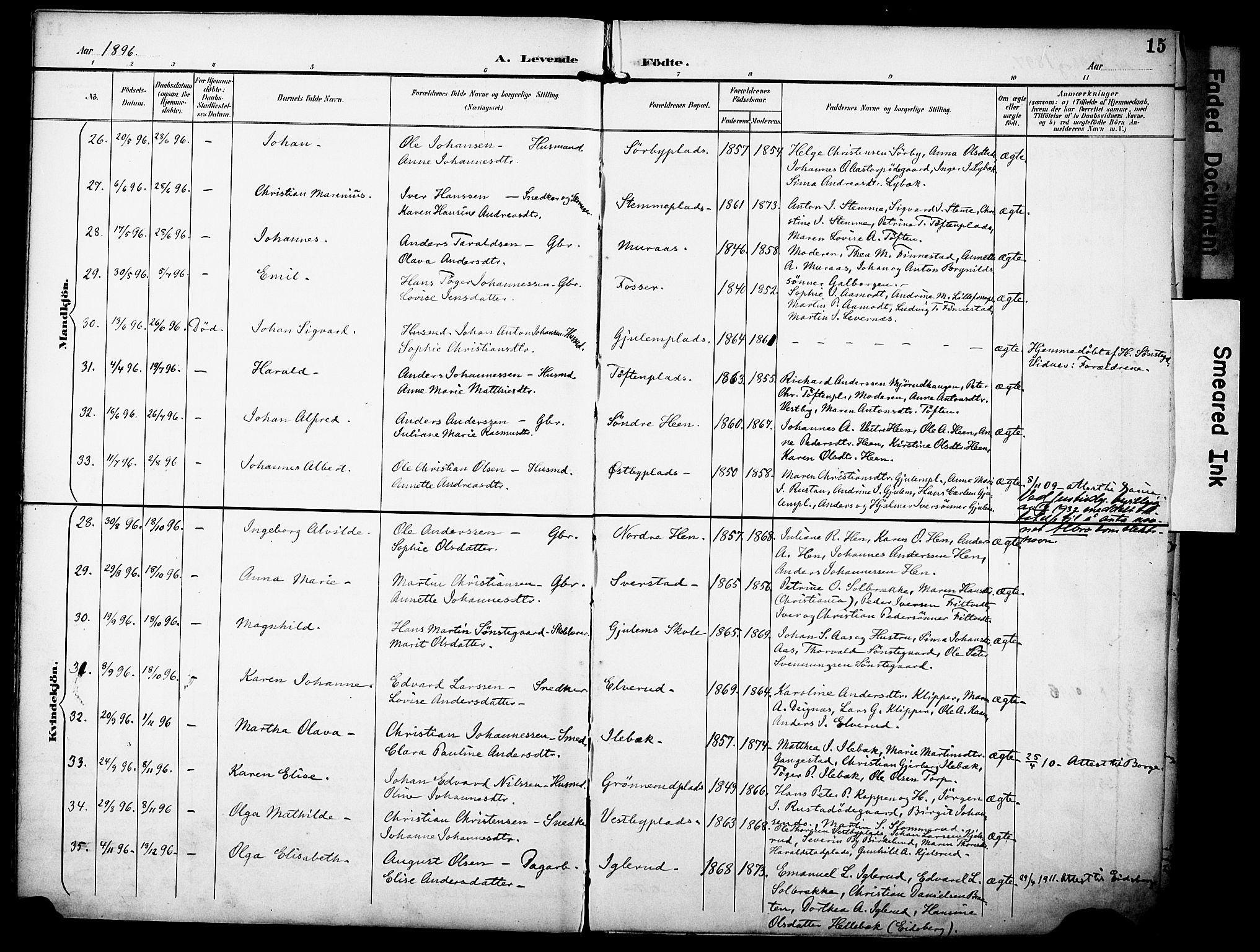 Rakkestad prestekontor Kirkebøker, SAO/A-2008/F/Fa/L0013: Parish register (official) no. I 13, 1894-1908, p. 15
