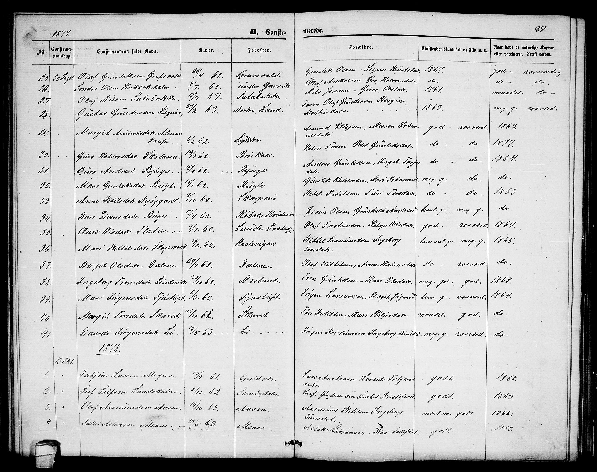Seljord kirkebøker, SAKO/A-20/G/Ga/L0004: Parish register (copy) no. I 4, 1873-1886, p. 87
