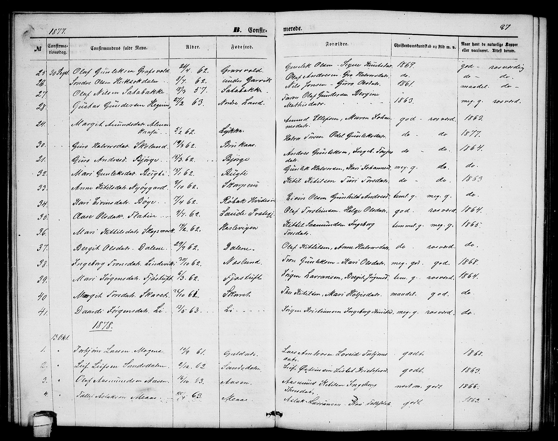 Seljord kirkebøker, AV/SAKO-A-20/G/Ga/L0004: Parish register (copy) no. I 4, 1873-1886, p. 87