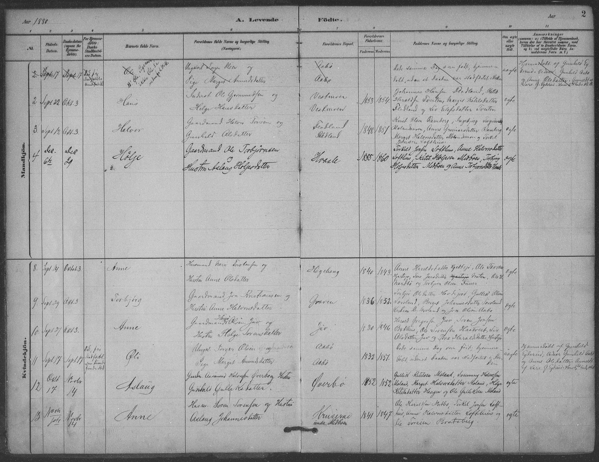 Hjartdal kirkebøker, AV/SAKO-A-270/F/Fa/L0010: Parish register (official) no. I 10, 1880-1929, p. 2