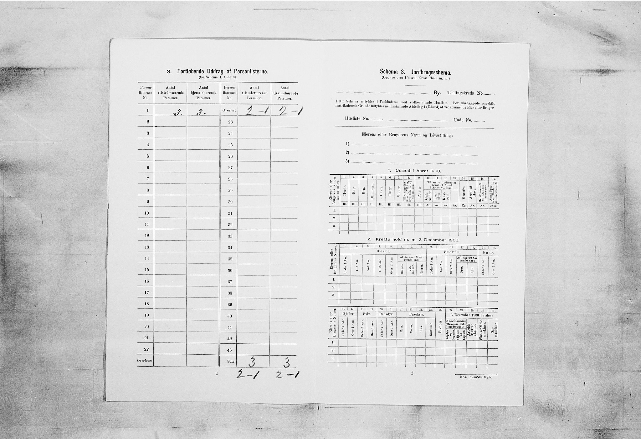 SAKO, 1900 census for Kragerø, 1900, p. 2299