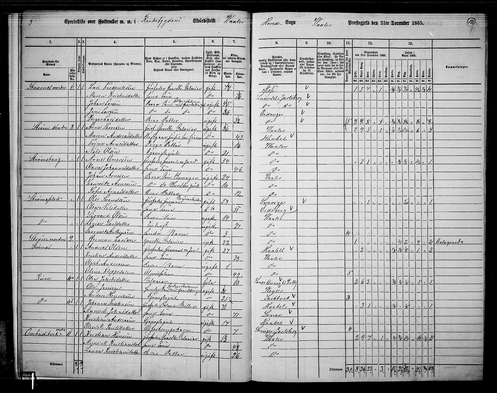 RA, 1865 census for Våler, 1865, p. 13