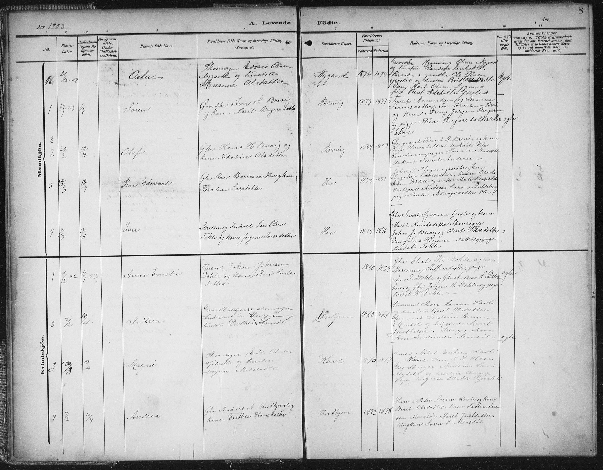 Ministerialprotokoller, klokkerbøker og fødselsregistre - Møre og Romsdal, SAT/A-1454/545/L0589: Parish register (copy) no. 545C03, 1902-1937, p. 8