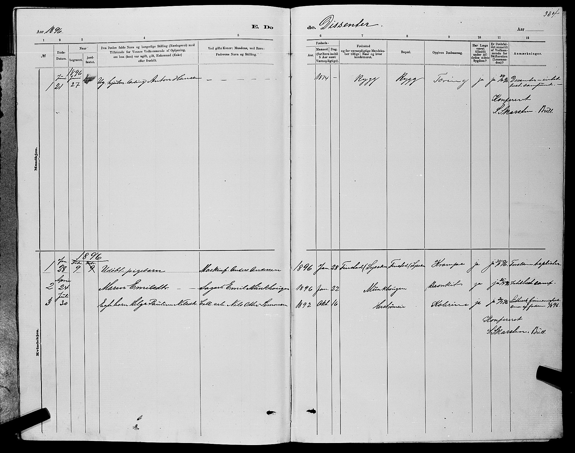 Nedre Eiker kirkebøker, AV/SAKO-A-612/G/Ga/L0002: Parish register (copy) no. 2, 1880-1896, p. 384