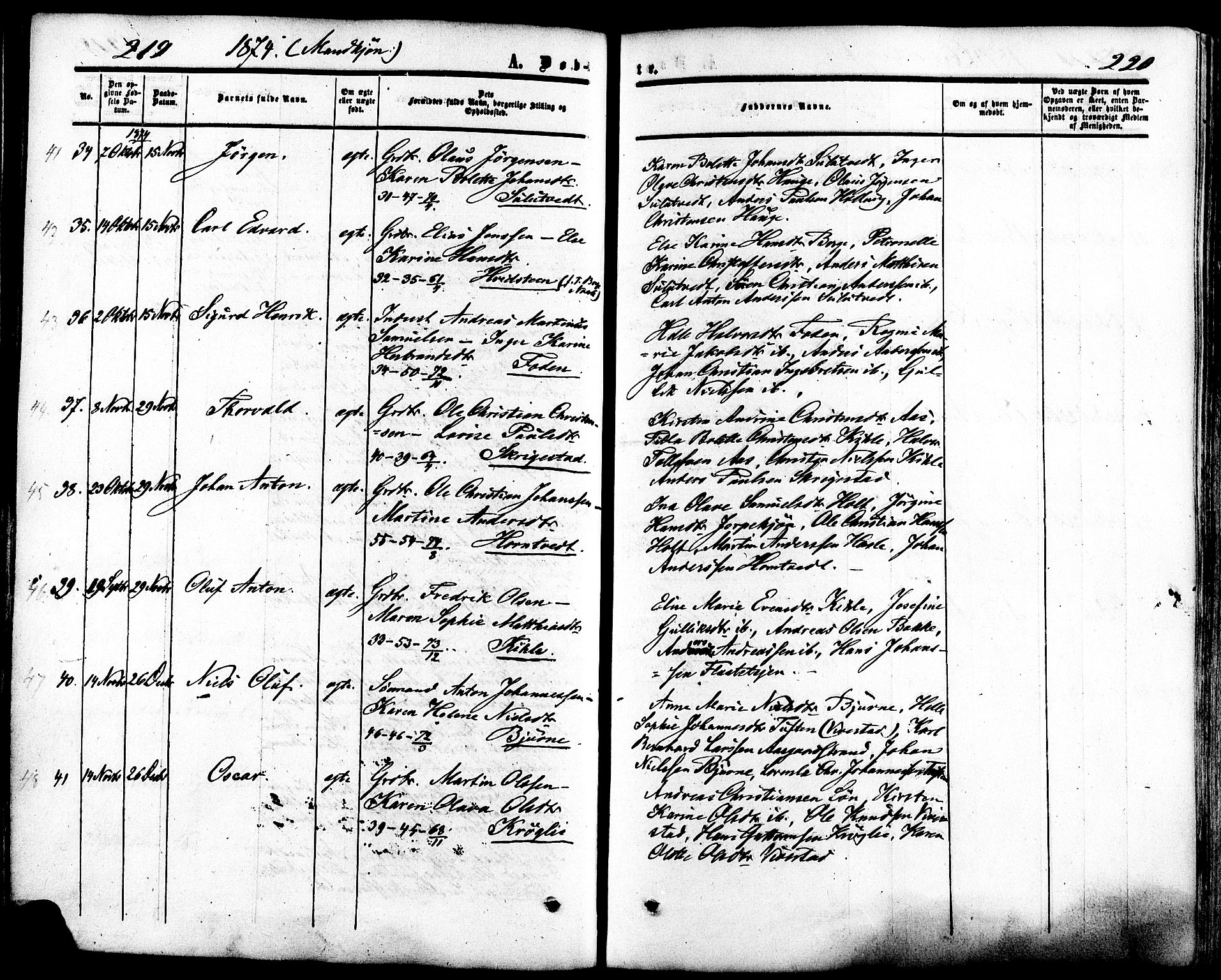 Ramnes kirkebøker, AV/SAKO-A-314/F/Fa/L0006: Parish register (official) no. I 6, 1862-1877, p. 219-220