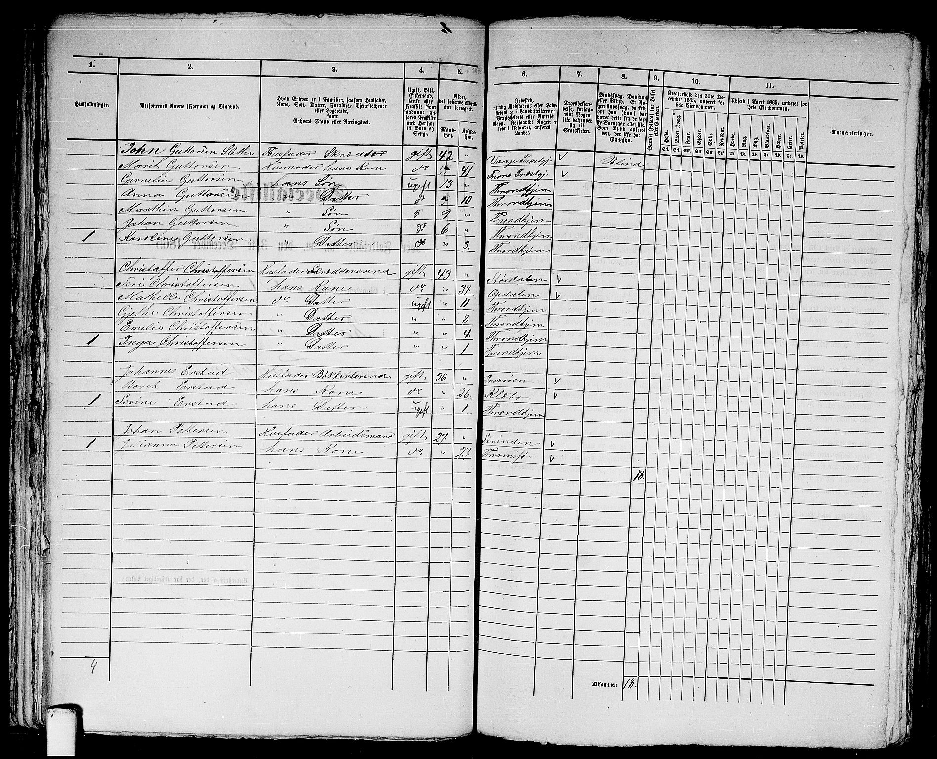 RA, 1865 census for Trondheim, 1865, p. 1637