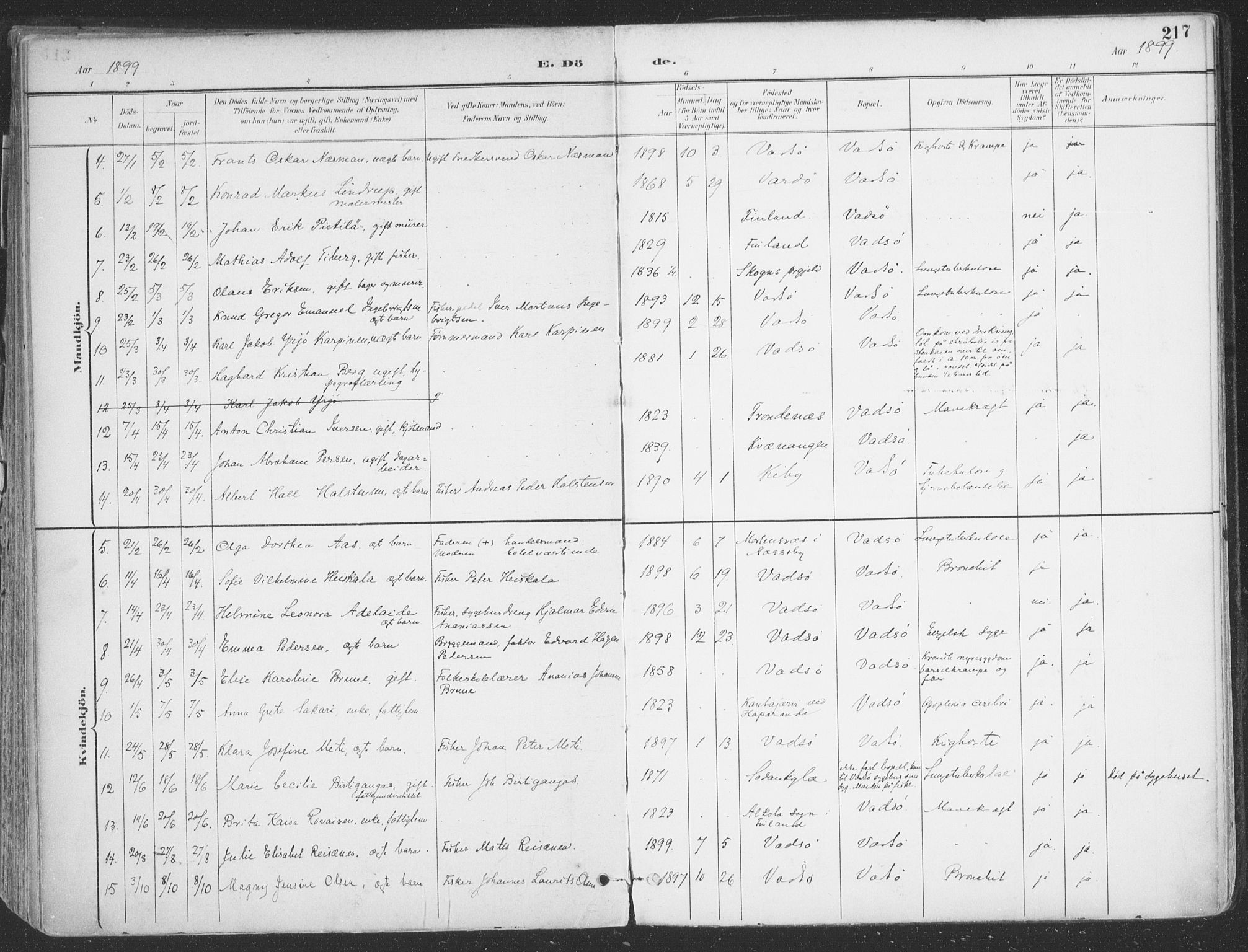 Vadsø sokneprestkontor, SATØ/S-1325/H/Ha/L0007kirke: Parish register (official) no. 7, 1896-1916, p. 217