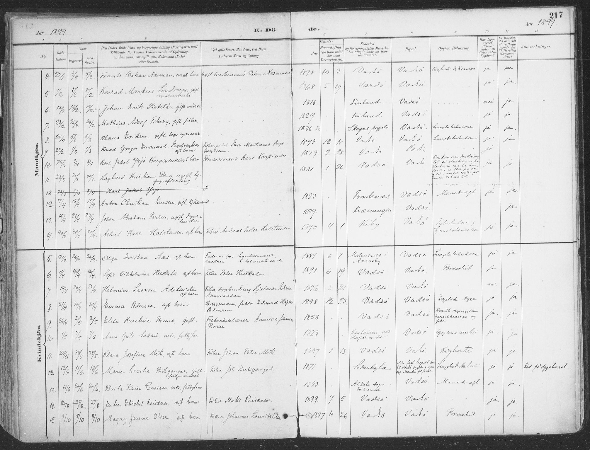 Vadsø sokneprestkontor, AV/SATØ-S-1325/H/Ha/L0007kirke: Parish register (official) no. 7, 1896-1916, p. 217