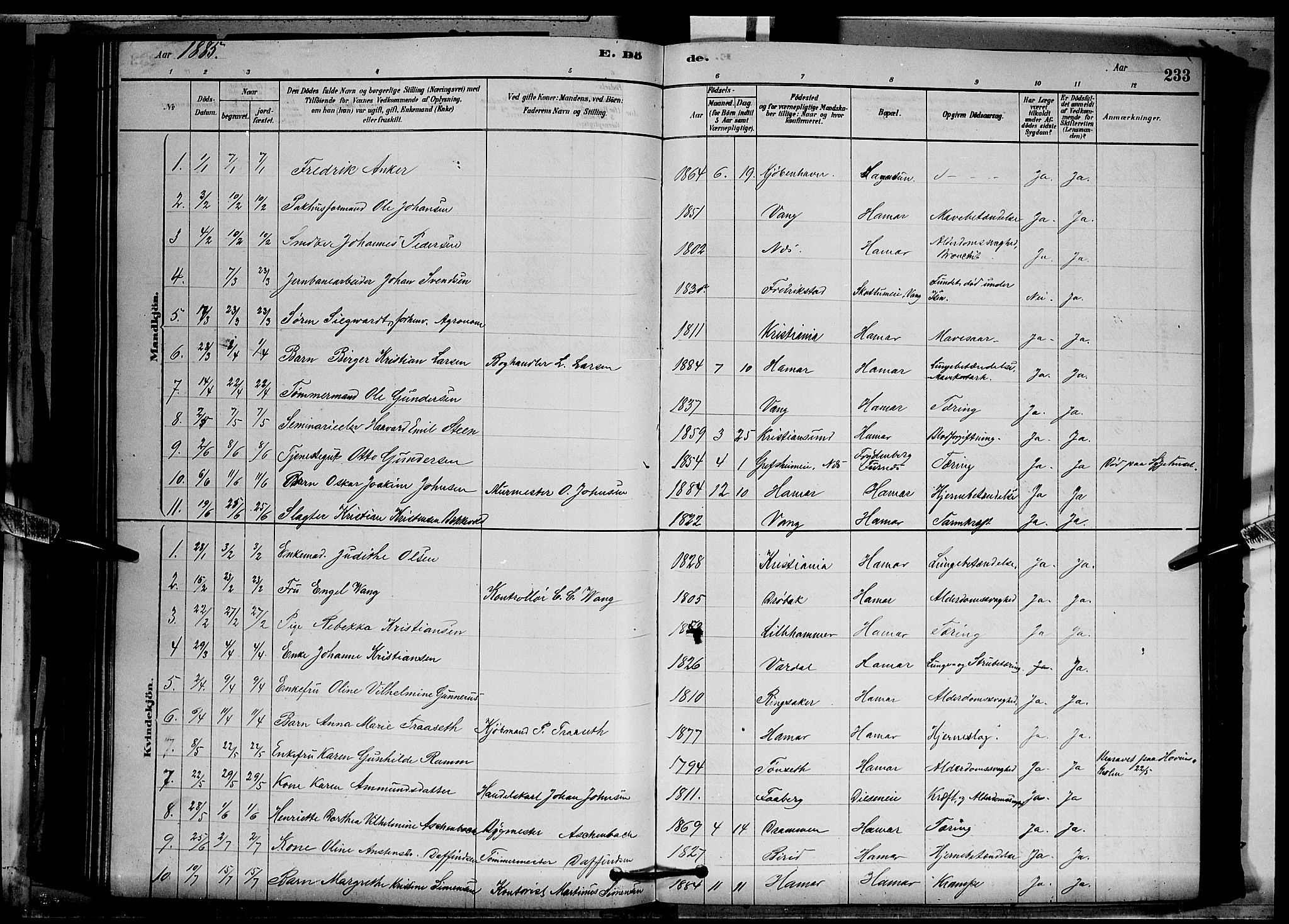 Vang prestekontor, Hedmark, SAH/PREST-008/H/Ha/Hab/L0012: Parish register (copy) no. 12, 1878-1889, p. 233