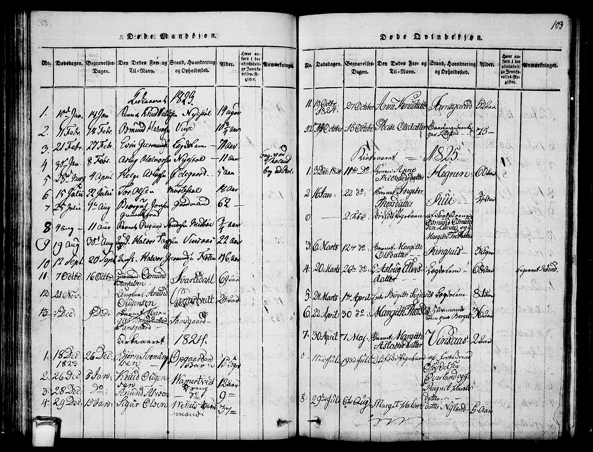 Vinje kirkebøker, SAKO/A-312/G/Ga/L0001: Parish register (copy) no. I 1, 1814-1843, p. 103