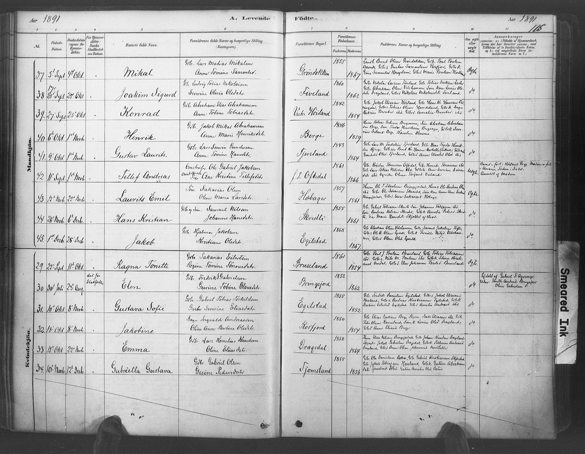 Lyngdal sokneprestkontor, AV/SAK-1111-0029/F/Fa/Fac/L0011: Parish register (official) no. A 11, 1878-1893, p. 115