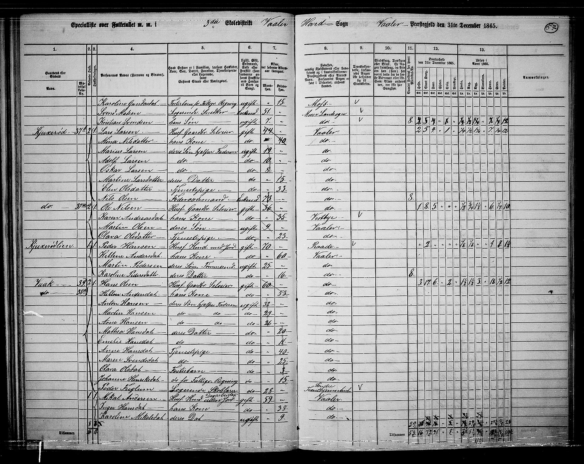 RA, 1865 census for Våler, 1865, p. 52