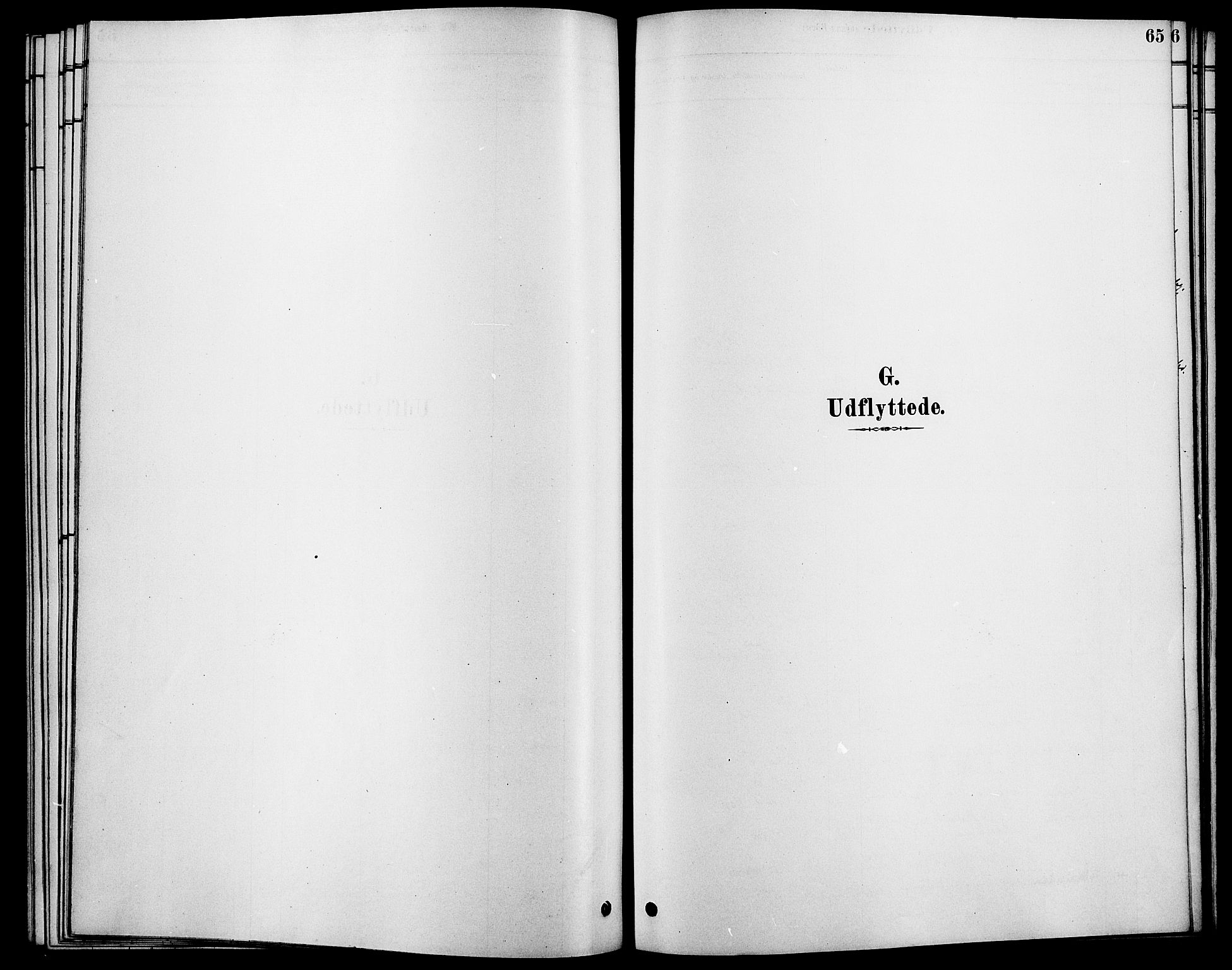 Rendalen prestekontor, AV/SAH-PREST-054/H/Ha/Haa/L0007: Parish register (official) no. 7, 1878-1898, p. 65